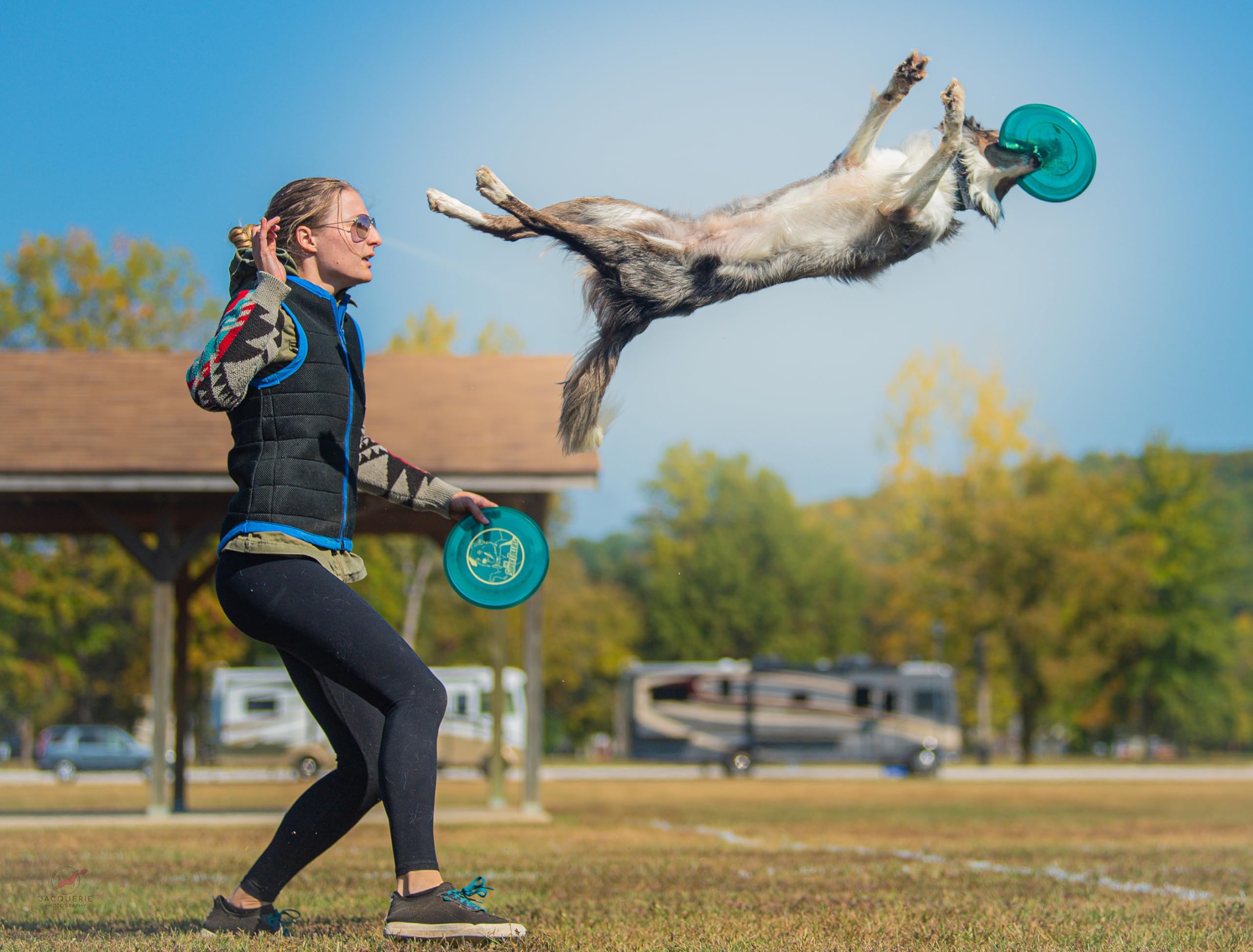 Hero Disc USA Superhero 235 K9 Candy Pink Flying Disc - Puncture Resistant Outdoor Dog Toy