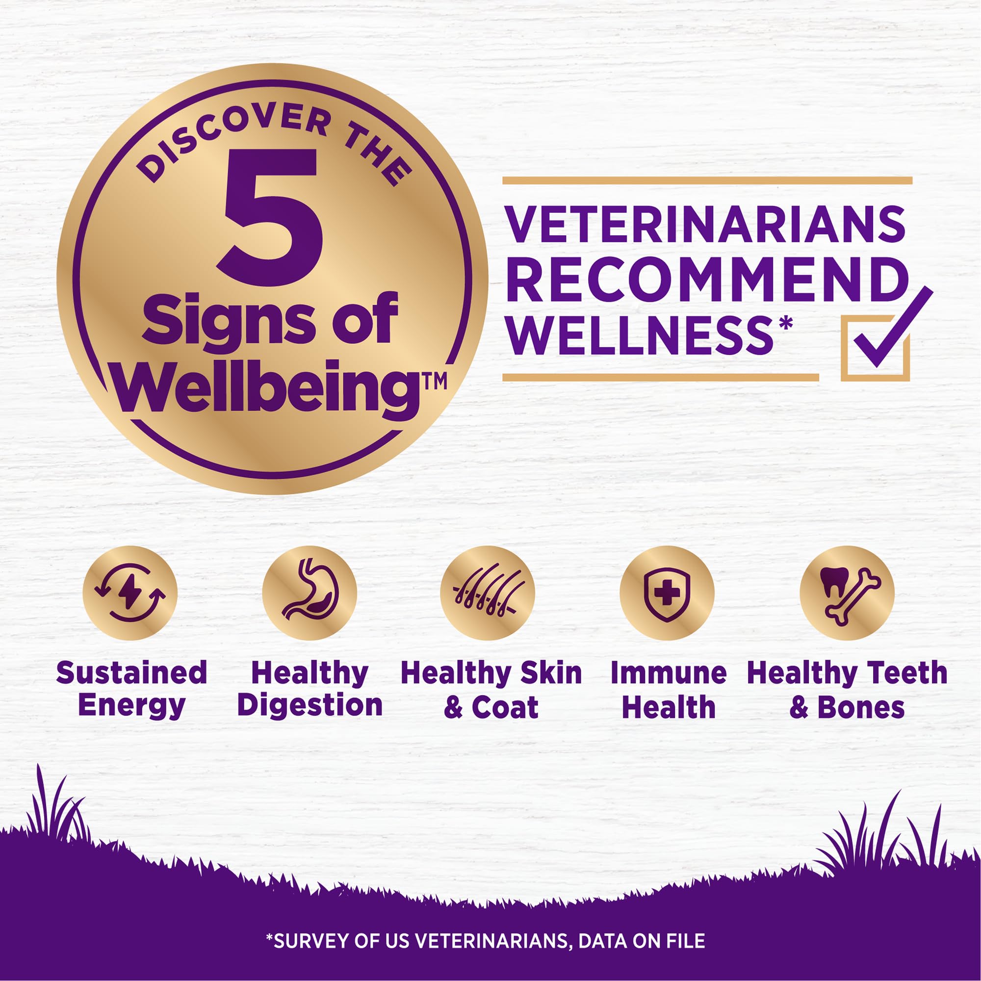 Wellness Complete Health Dry Dog Food with Grains, Natural Ingredients, Made in USA with Real Meat, All Breeds, For Adult Dogs (