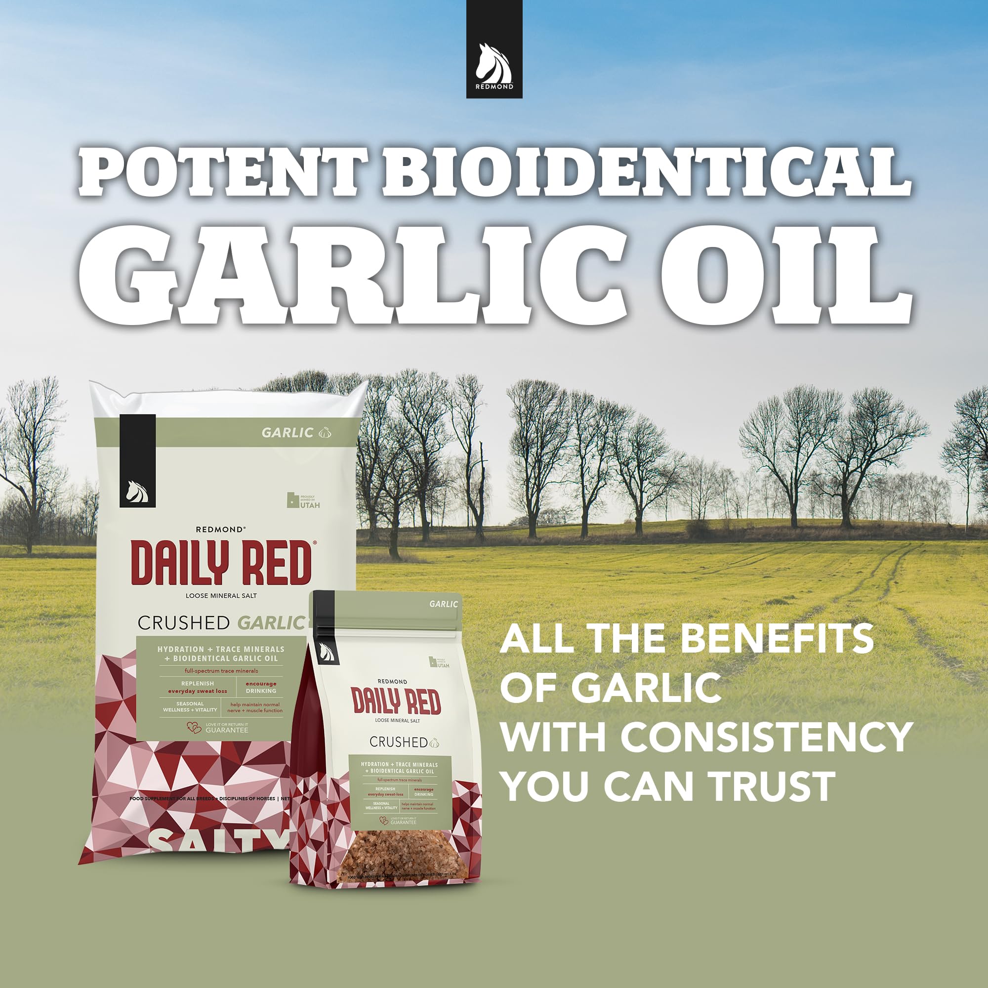 Redmond Daily Red Crushed Garlic | Horse Minerals & Vitamins Supplement | Garlic for Horses