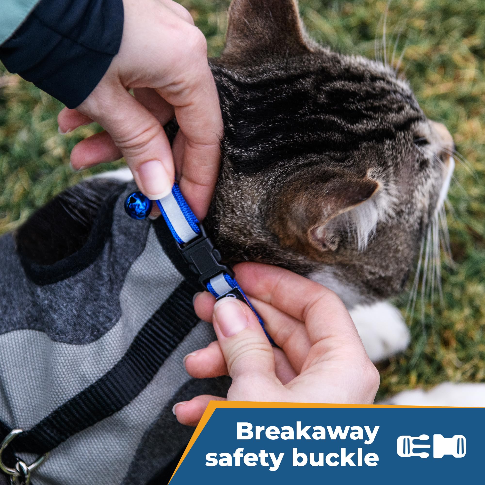 Gotags Personalized Reflective Cat Collars, Engraved Custom Cat Collar With Name And Phone Identification, Breakaway Collar With