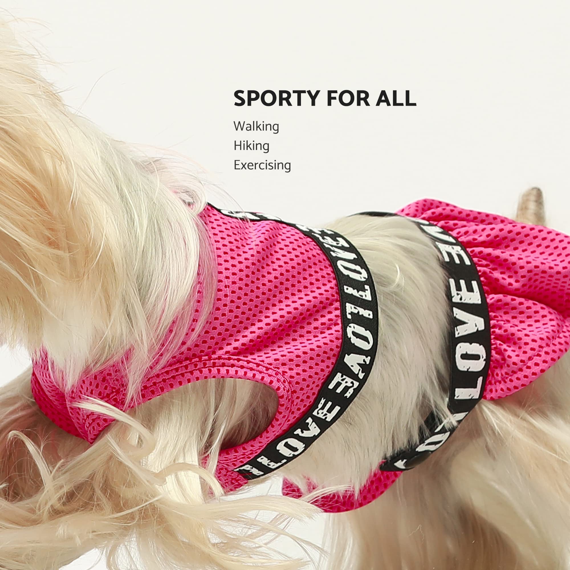 Fitwarm 2 Piece Dog Dress, Athleisure Lightweight Dog Clothes For Small Dogs Girl, Cat Apparel, Rose Pink, Xsmall