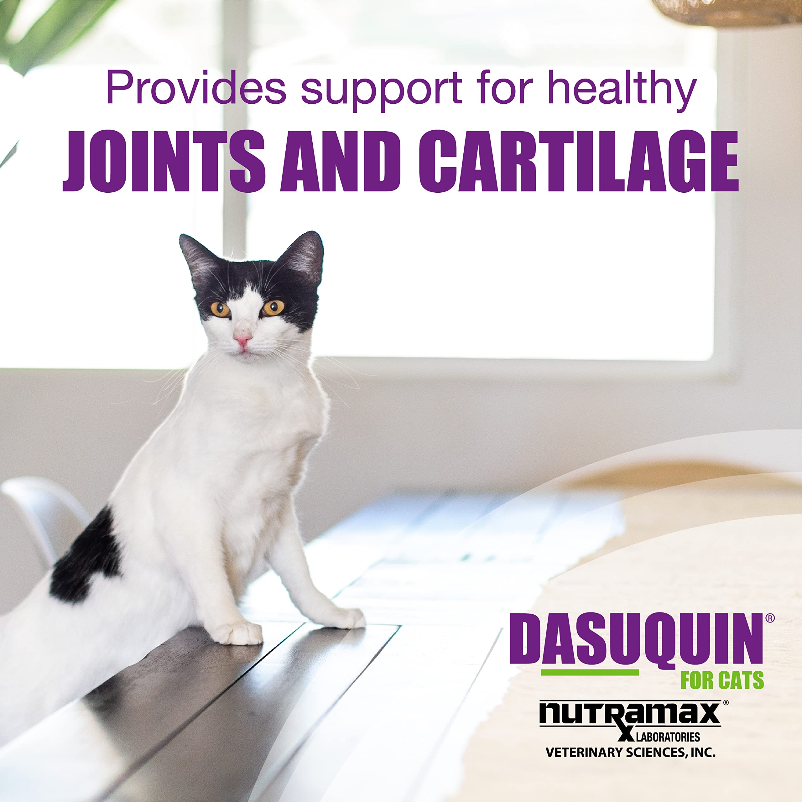 Nutramax Dasuquin Joint Health Supplement for Cats - With Glucosamine, Chondroitin, ASU, Boswellia Serrata Extract, Green Tea Ex