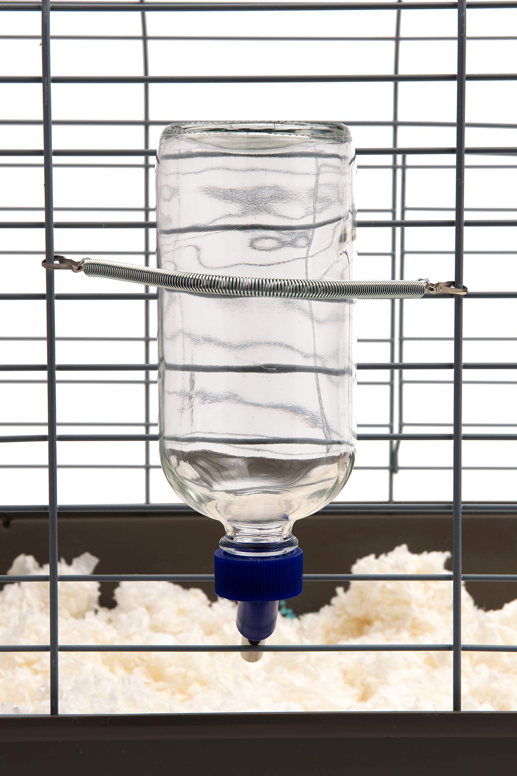 LIXIT Chew Proof Glass Water Bottle 16oz