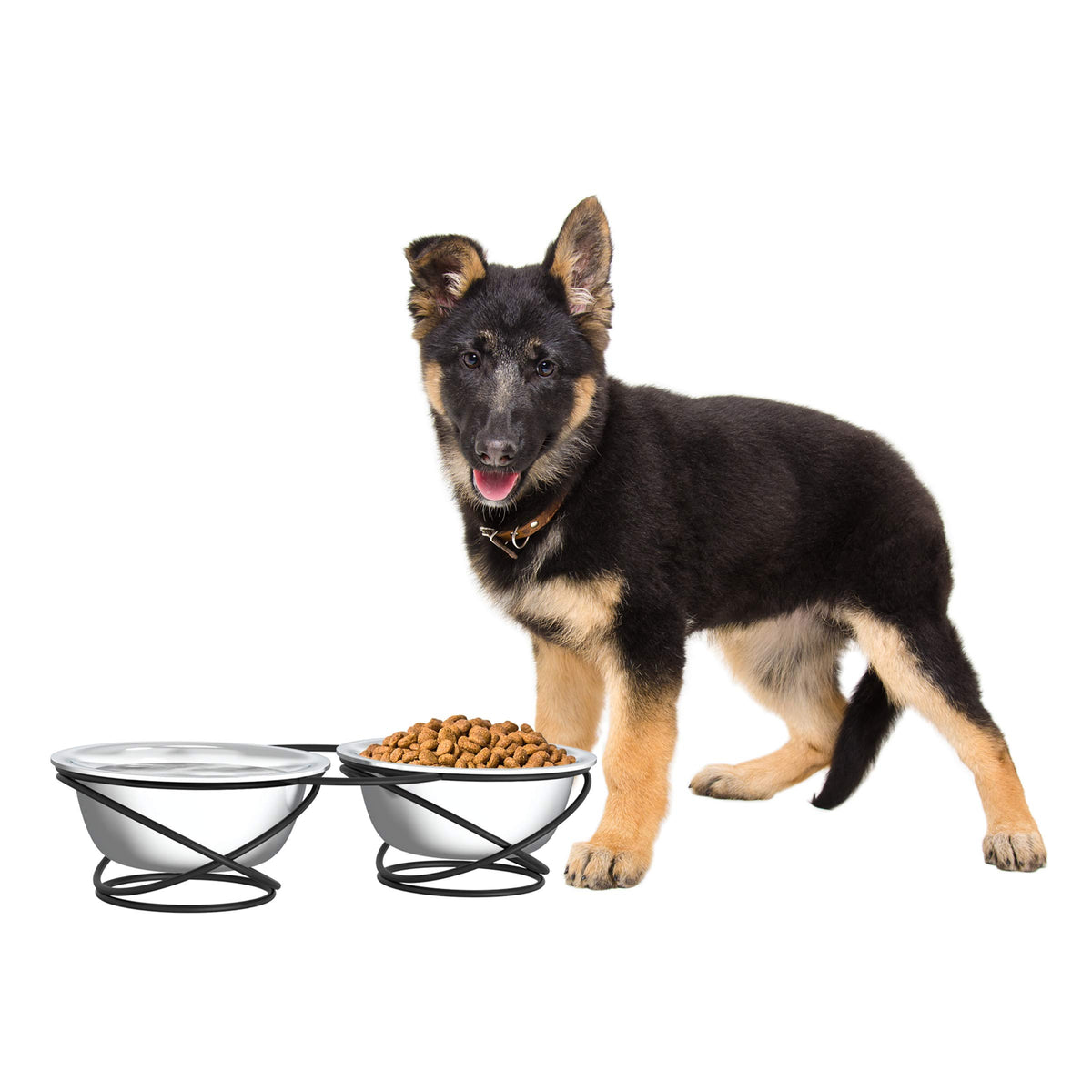 Set Of 2 Elevated Dog Bowls - Stainless-Steel 40-Ounce Food And Water Bowls For Dogs And Cats In A Raised 3.5-Inch-Tall Decorative Stand By Petmaker