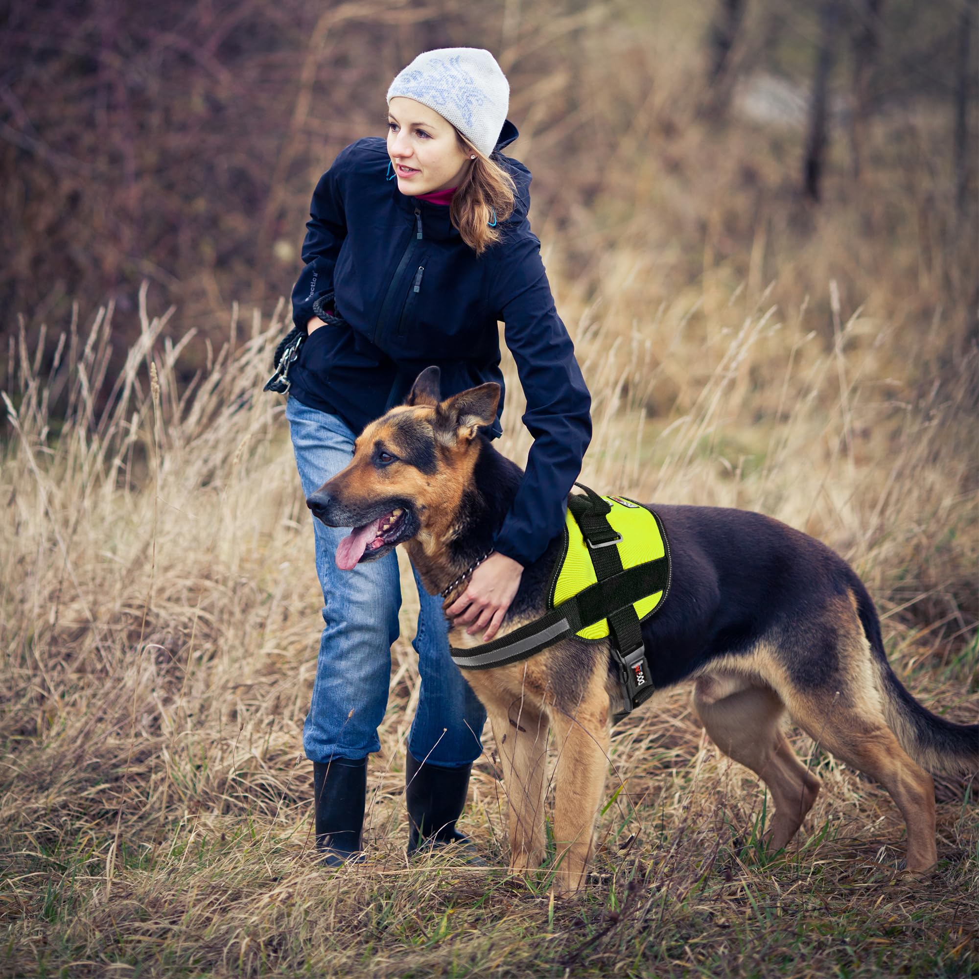 Dog Harness, Reflective No-Pull Adjustable Vest With Handle For Walking, Training, Service Breathable No - Choke Harness For Small, Medium Or Large Dogs Room For Patches Girth 15 To 18 In Lime Green