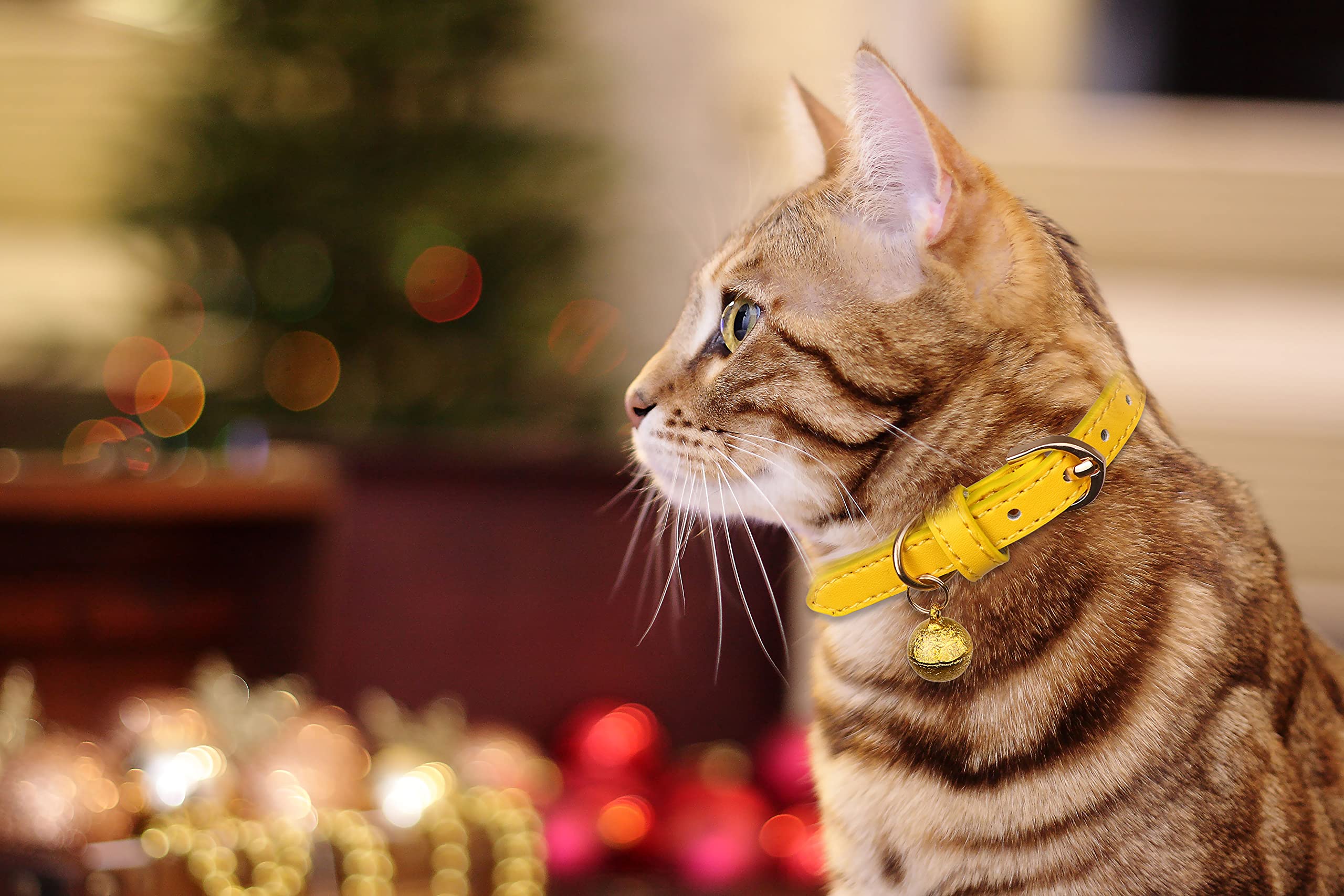 Jamktepat 3 Pack Leather Cat Collars With Bells Soft Pet Safety Collar Kitten Collars With Bell Orange Yellow Mint Green(S)