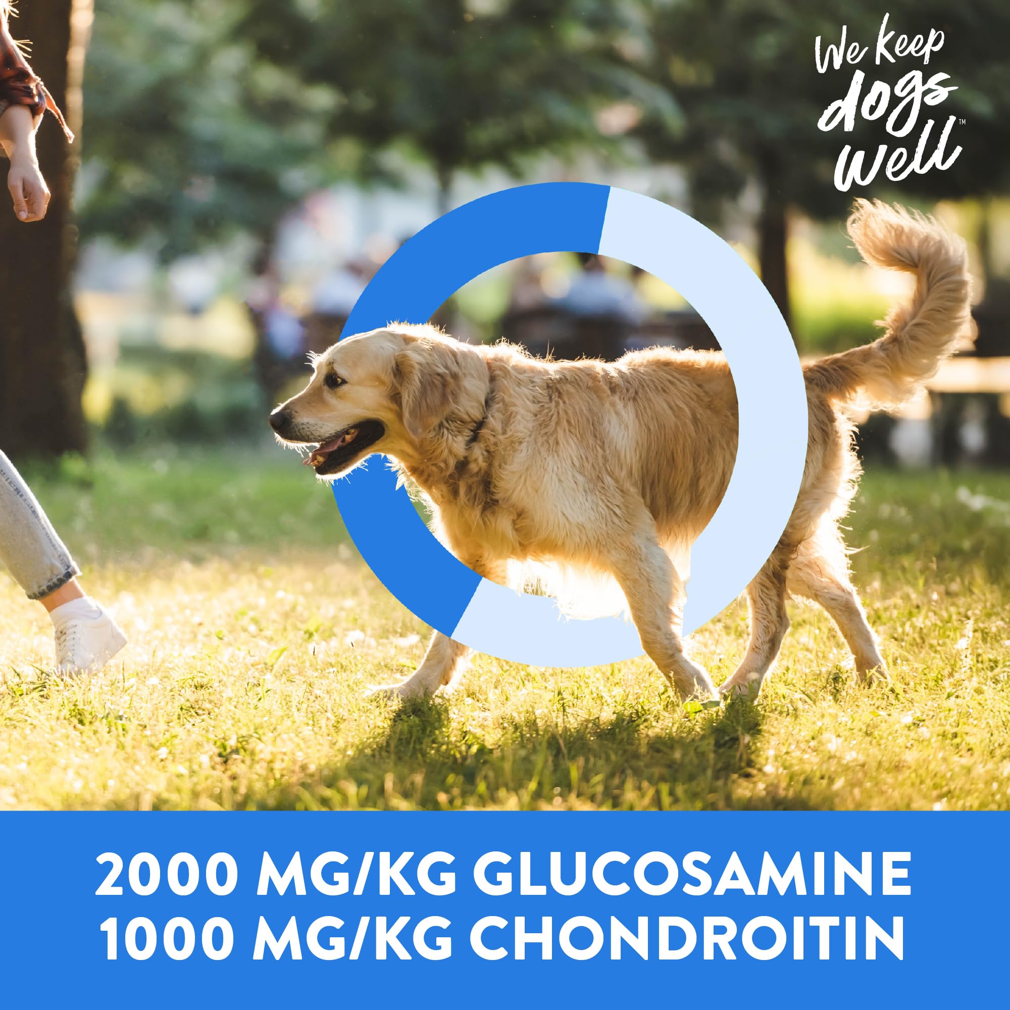 Dogswell Jerky Hip and Joint Dog Treats Grain Free Made in USA Only, Glucosamine and Chondroitin, 12 oz Chicken