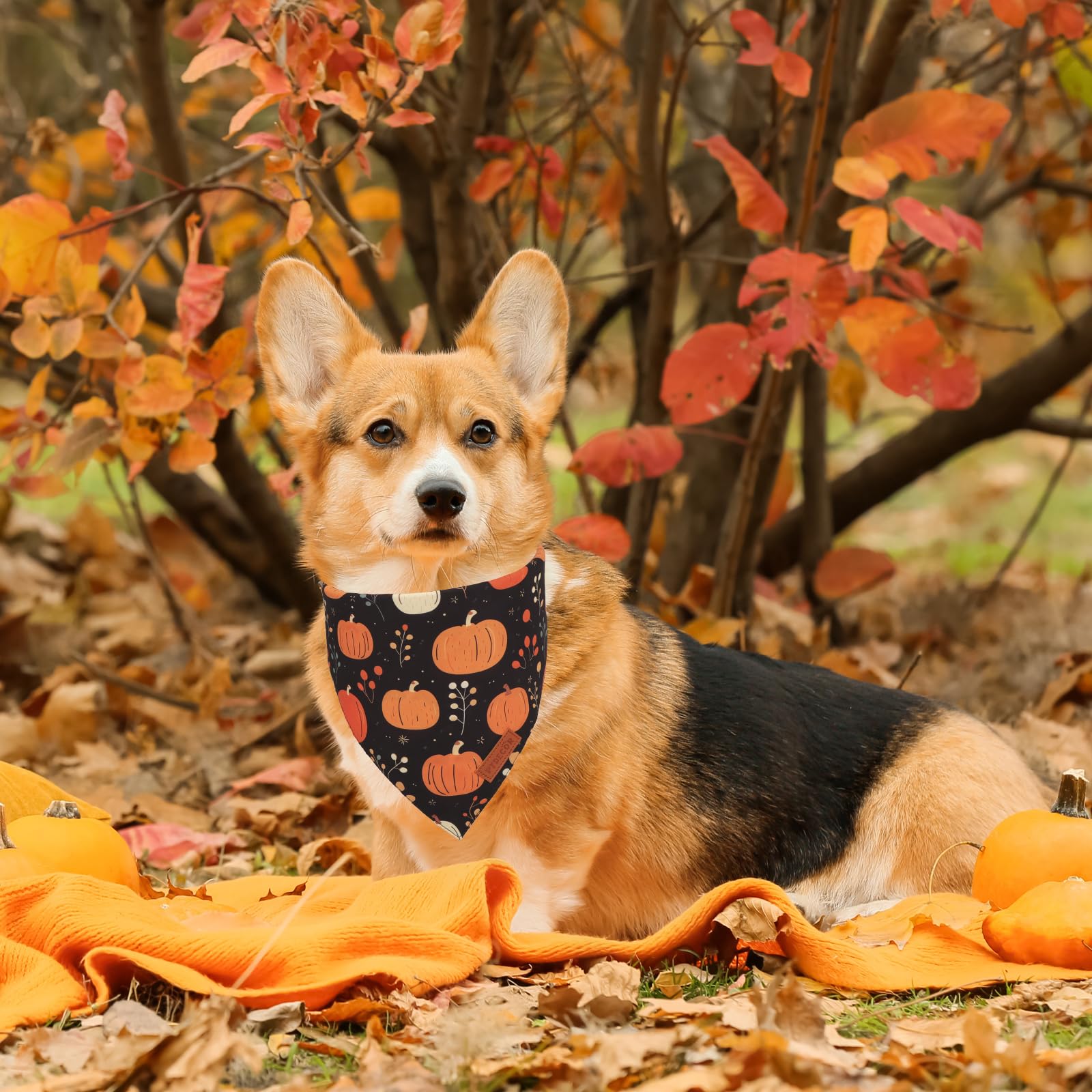 Ptdecor Fall Dog Bandana, Pumpkin Mushroom Design Scarf Reversible Holiday Dog Scarf, Triangle Thanksgiving Bandanas For Medium
