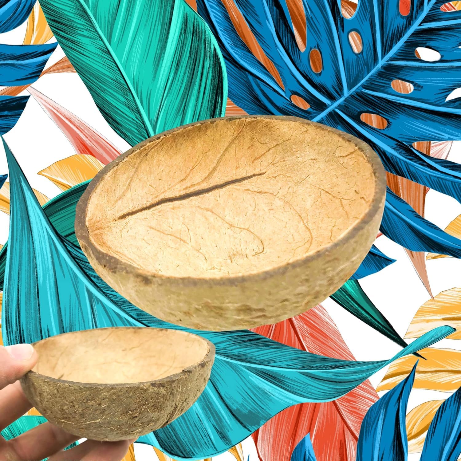 Bonka Bird Toys 2054 Natural Half Shell Flat Based Coconut Water Feeder Treat Vessel Amazons African Greys Conures