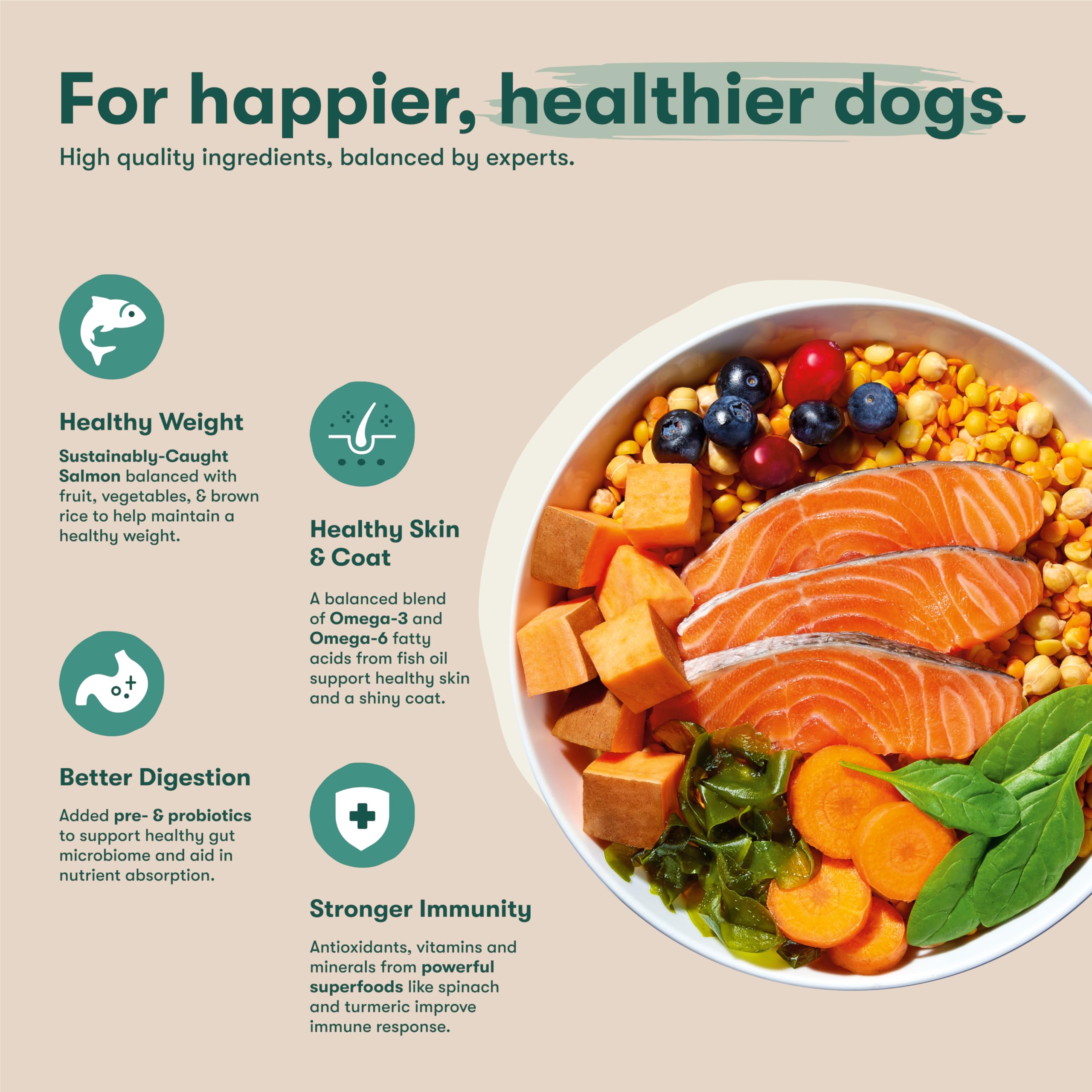 Jinx Premium Grain-Free Dry Dog Food, for All Lifestages - Real Salmon, Sweet Potato & Carrot Kibble with Superfoods for Immune
