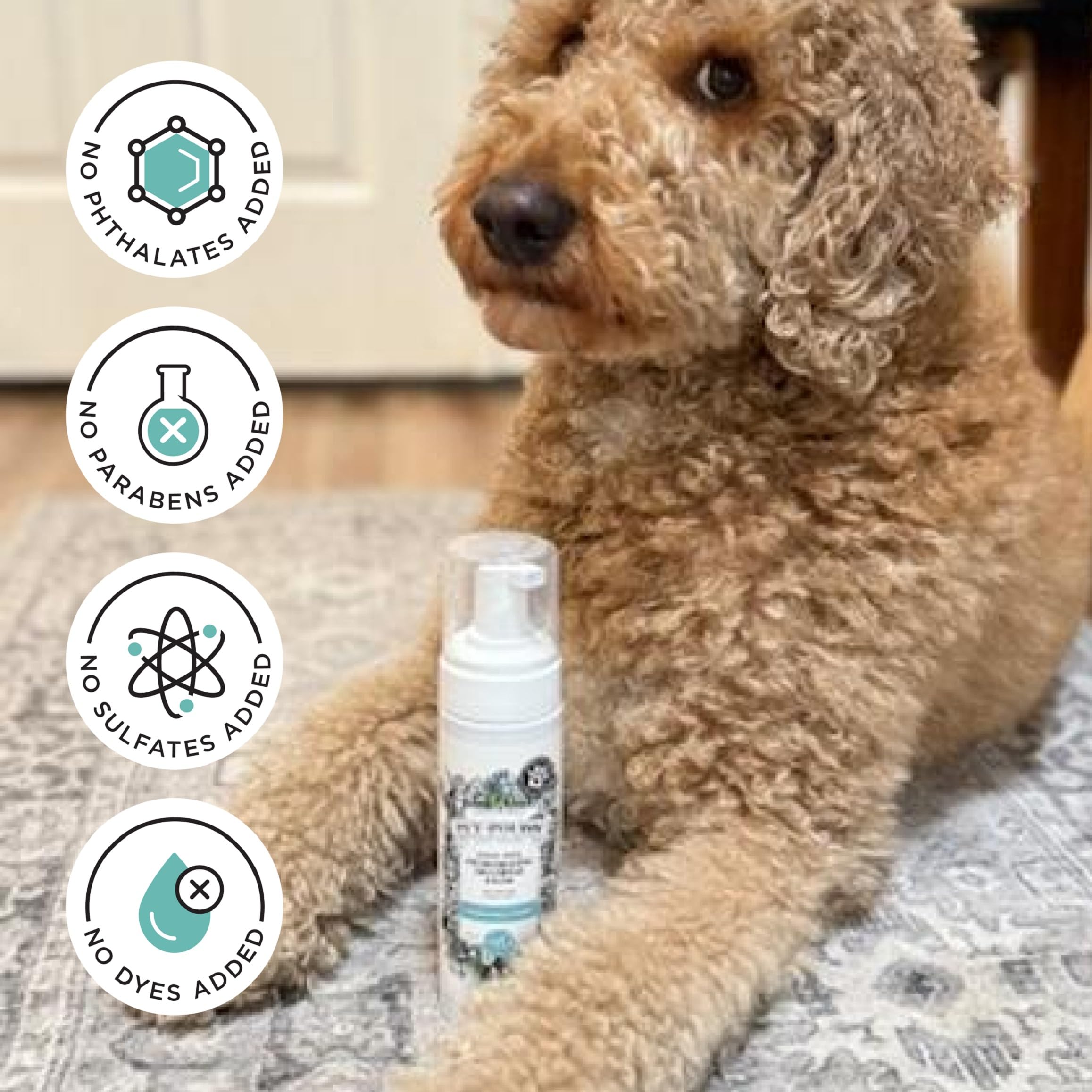 Pet-Pourri Rinse-Free Deodorizing Shampoo For Dogs & Cats - Moisturizing Skin & Coat Soothing Formula - Plant Based Ingredients