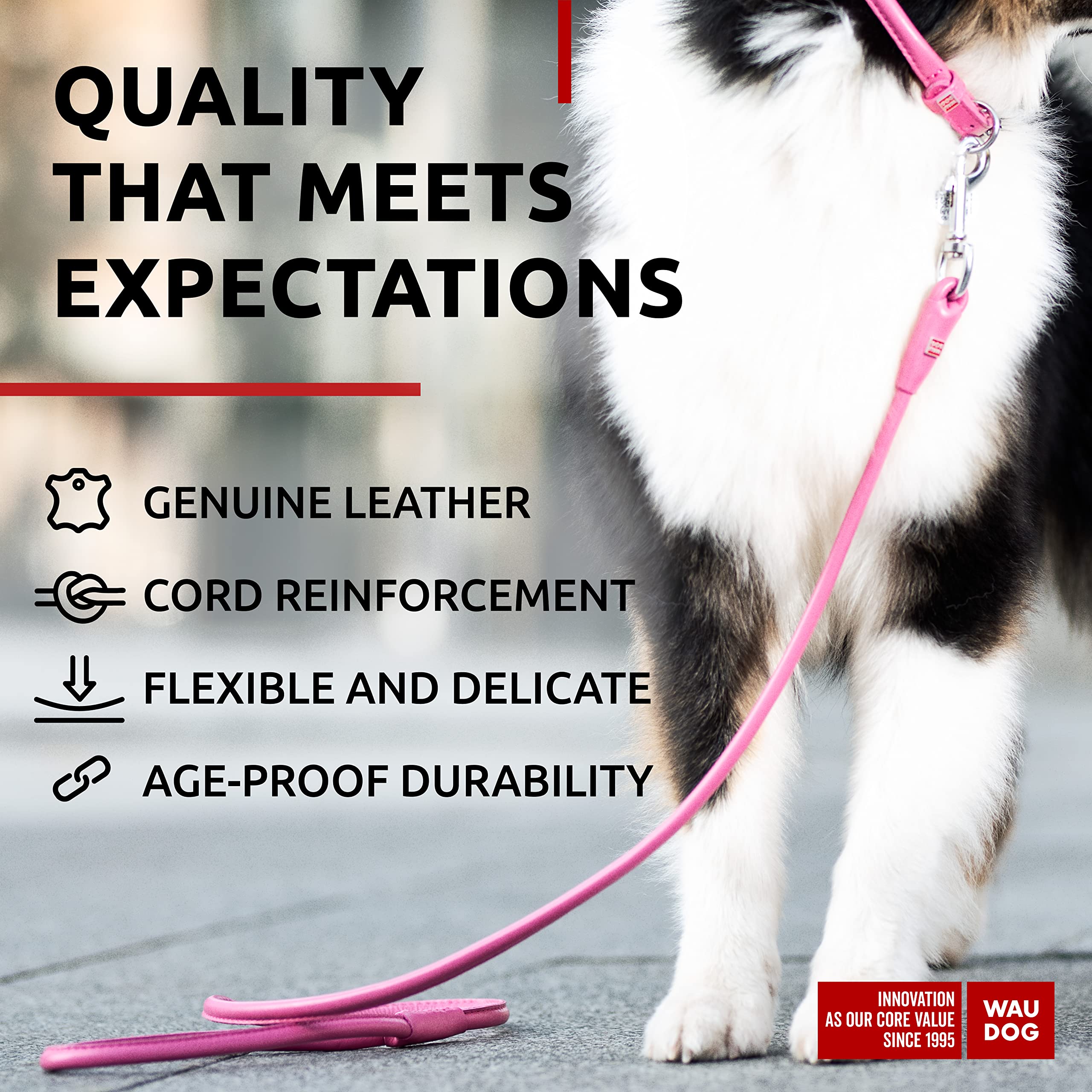 Waudog Rolled Leather Dog Leash 4Ft * 0.5 In For Small Medium And Large Dogs - Heavy Duty Leather Puppy Leash For Outdoor Walkin