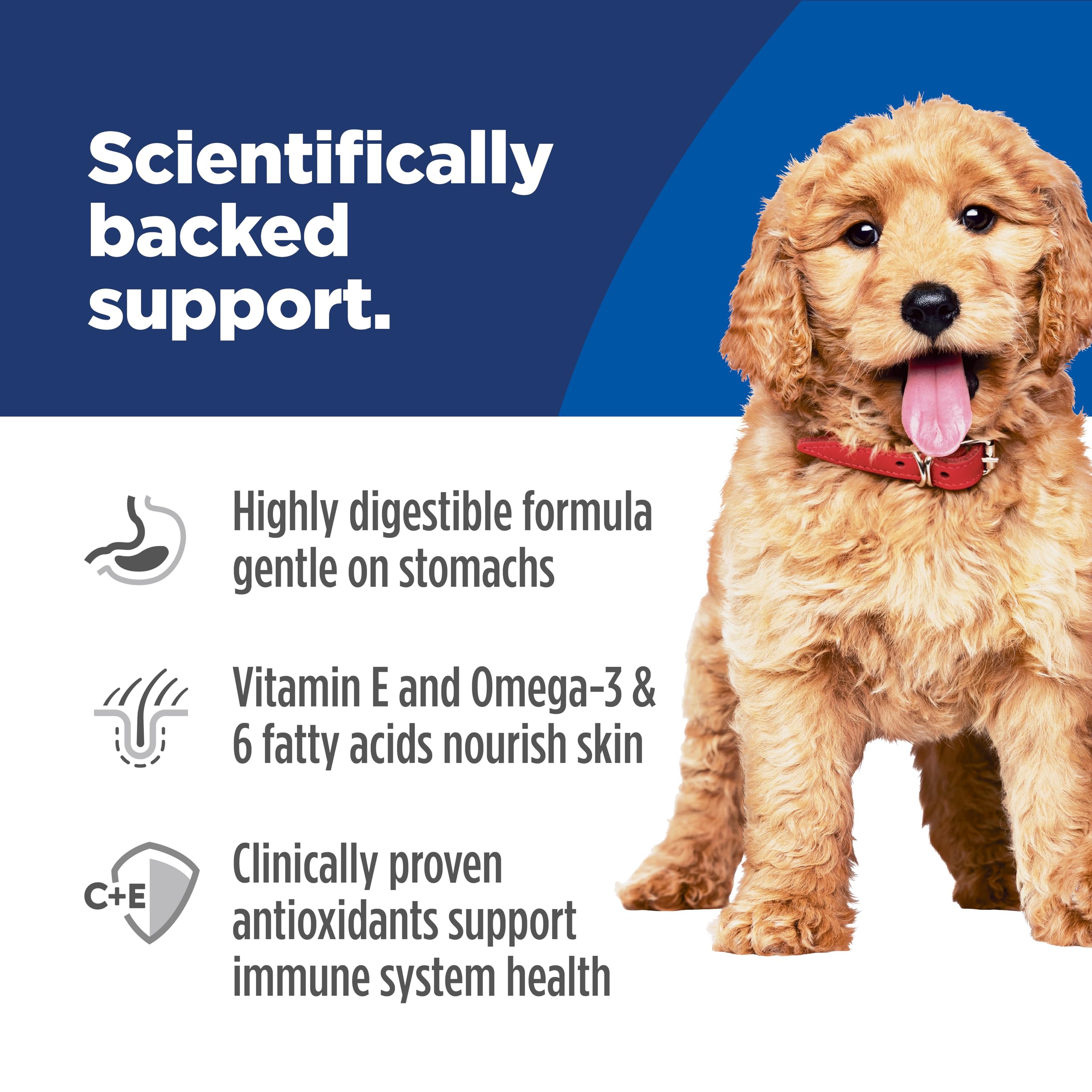 Hills Science Diet Sensitive Stomach & Skin, Puppy, Stomach & Skin Sensitivity Support, Wet Dog Food, Salmon & Vegetable Stew,