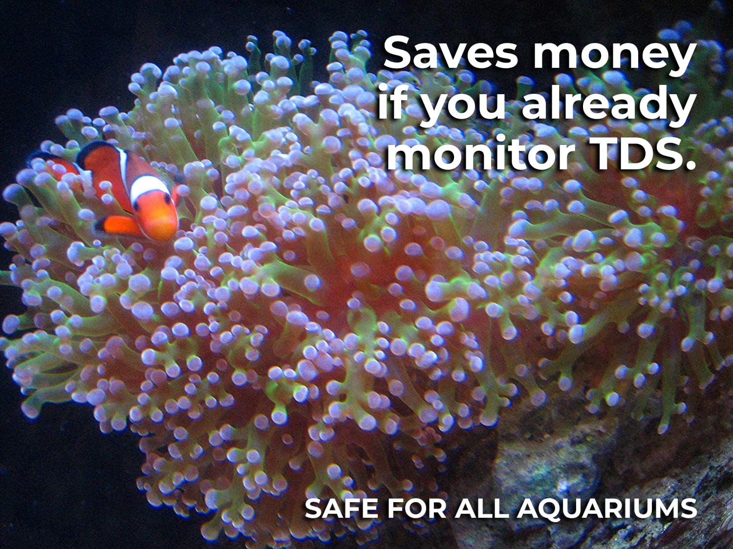 Kolar Labs Lanxess Di Deionization Resin – For Fish Tanks, Ponds & Aquariums, Reef Aquarium Grade, 567 Grams; 1.25Lbs (1 Canister Refill)