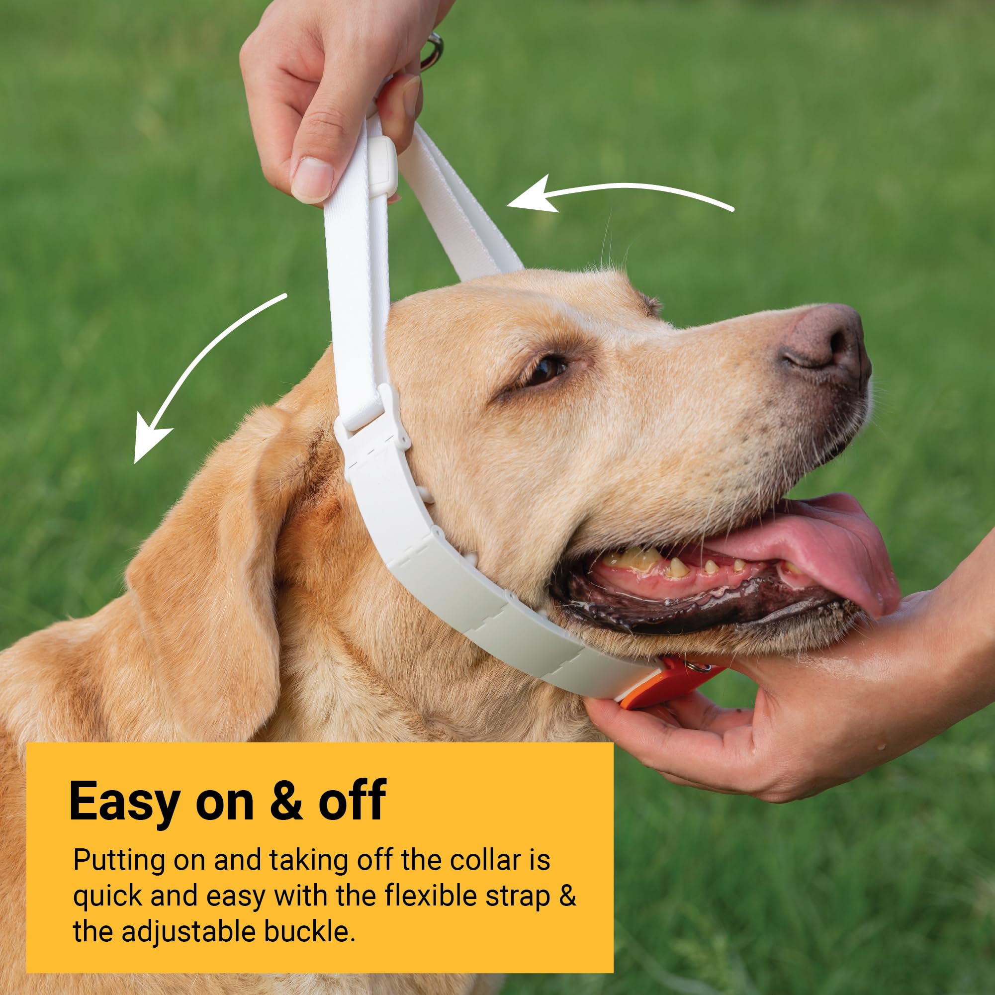 Svd.Pet Dog Prong Collar For No-Pull Training, Quick-Release Buckle Adjustable Pinch Collar For Small Medium Large Dogs (White,