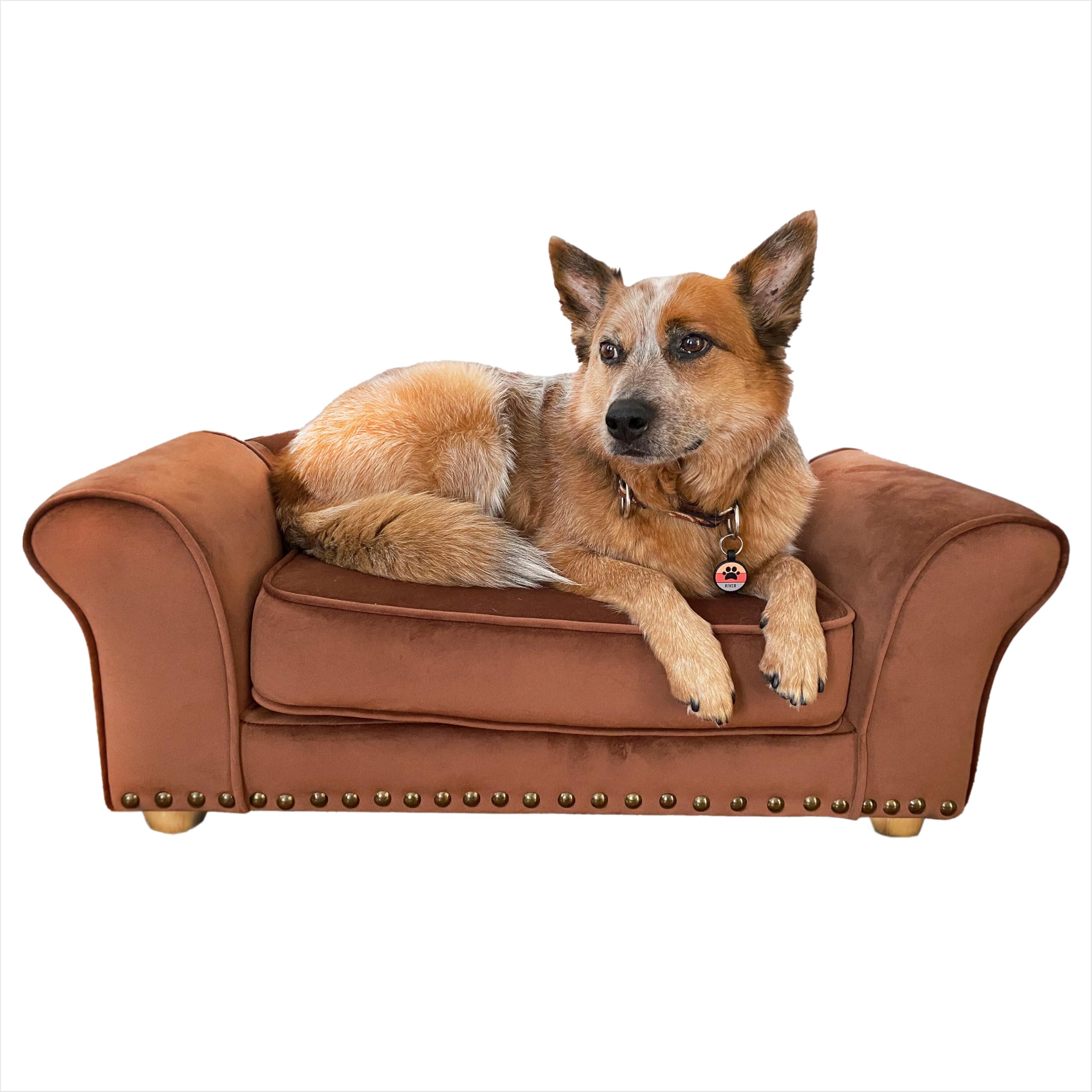 Critter Sitters 34-in. Faux Velvet Sofa in Brown for Medium-Sized Dogs and Cats, Durable and Stylish Dog Bed for Bedroom and Liv