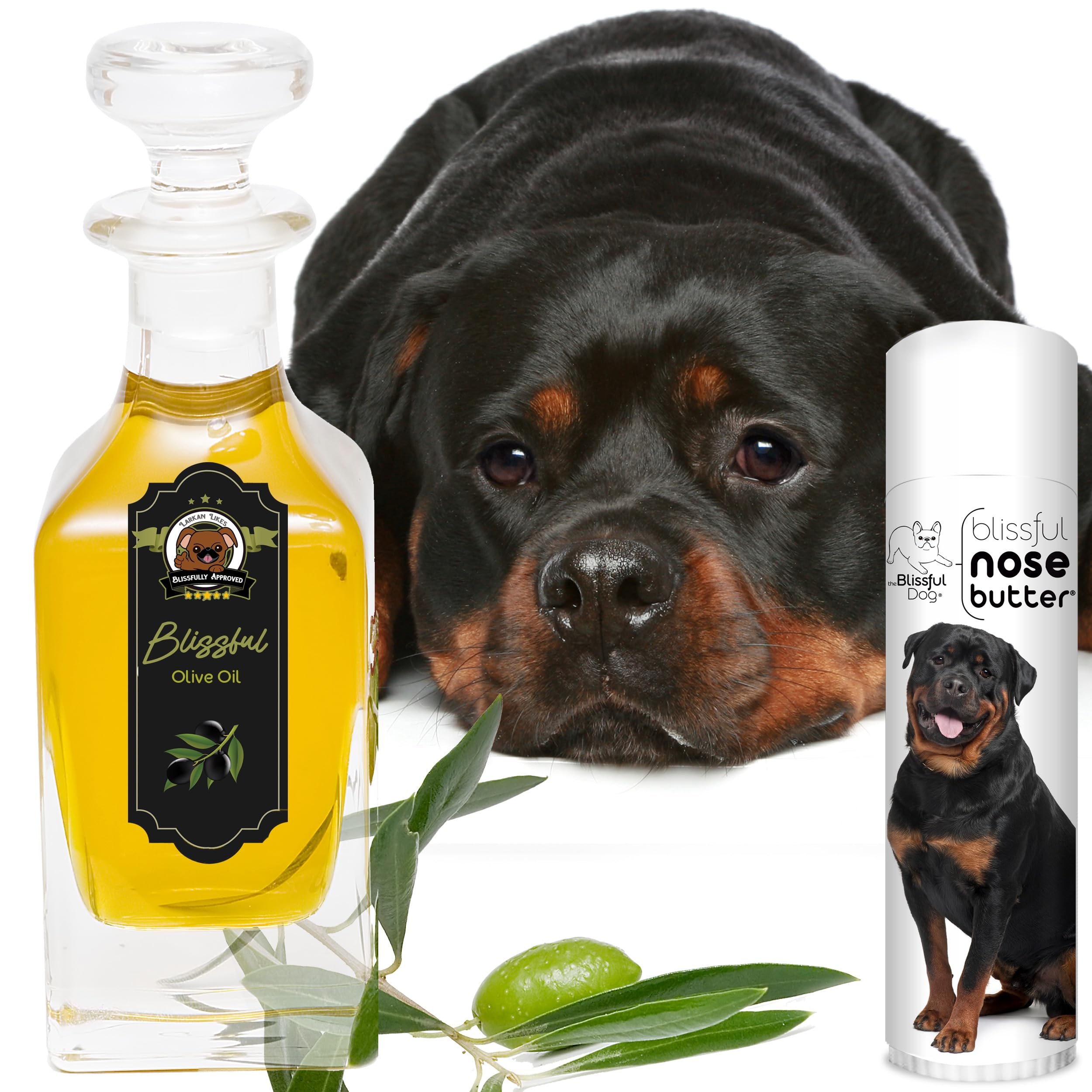 The Blissful Dog Rottweiler Unscented Nose Butter - Dog Nose Butter, 0.50 Ounce