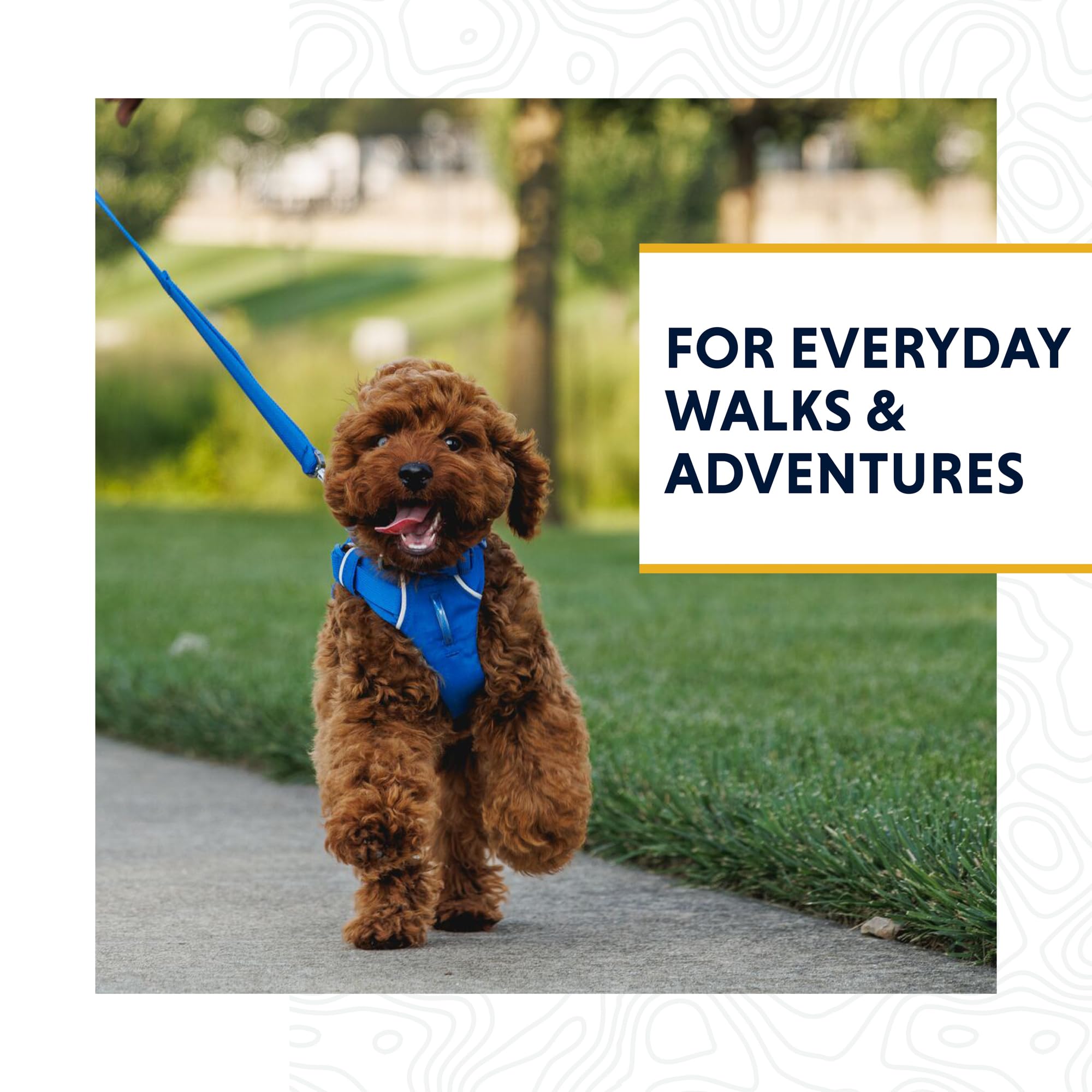 Ruffwear, Front Range Dog Leash, 5 Ft Lead With Padded Handle For Everyday Walking, Blue Pool