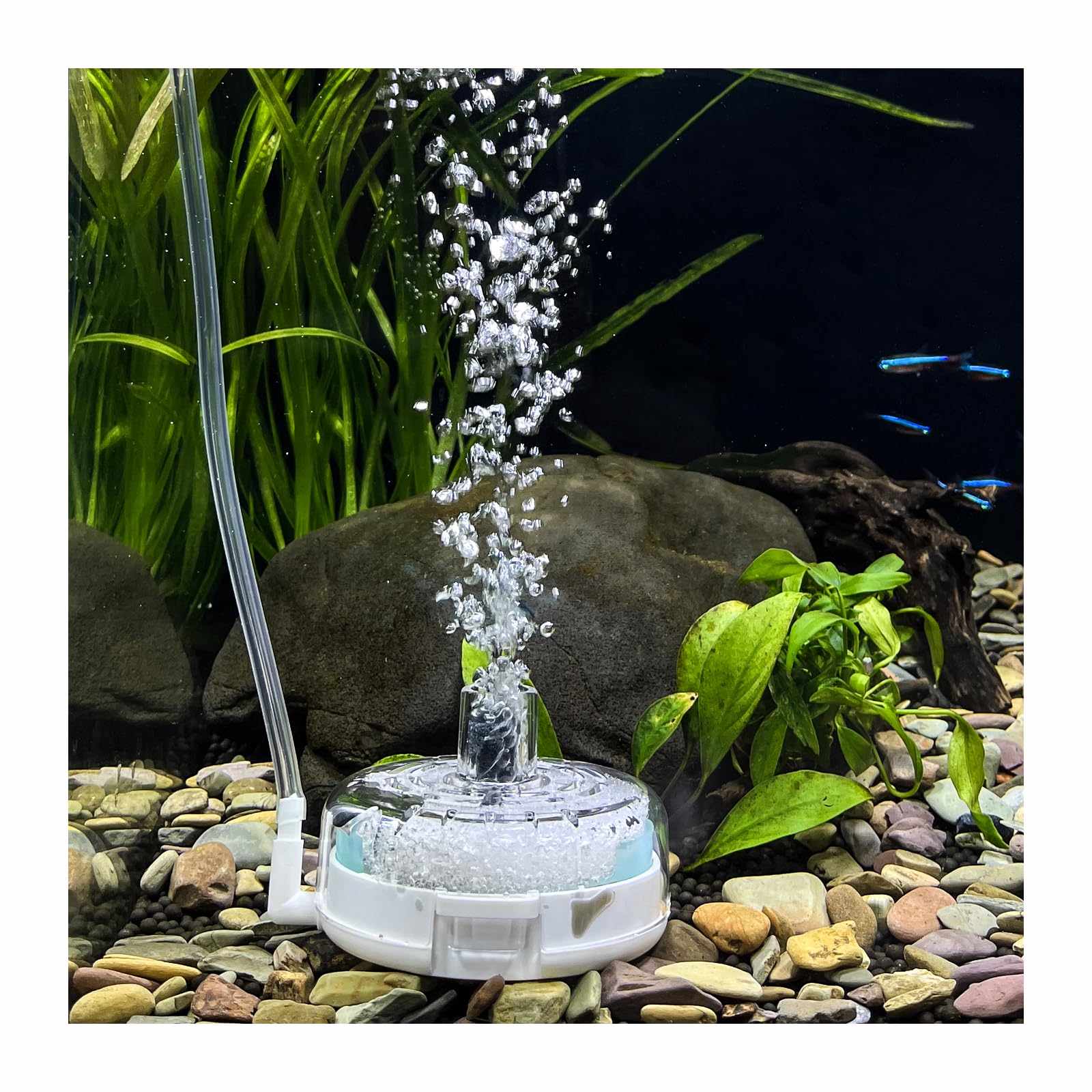 UPETTOOLS Mini Aquarium Sponge Filter, Small Internal Fish Tank Filter Detachable Submersible Filter with Air Stone Suitable for