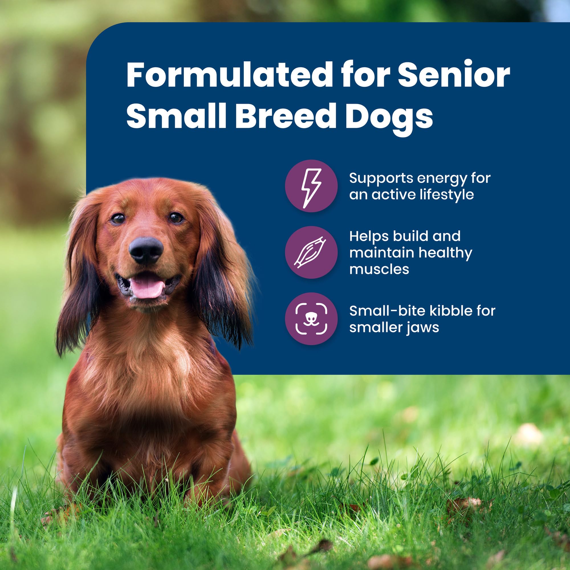 Blue Buffalo Life Protection Formula Small Breed Senior Dry Dog Food, Supports Joint Health and Immunity, Made with Natural Ingr