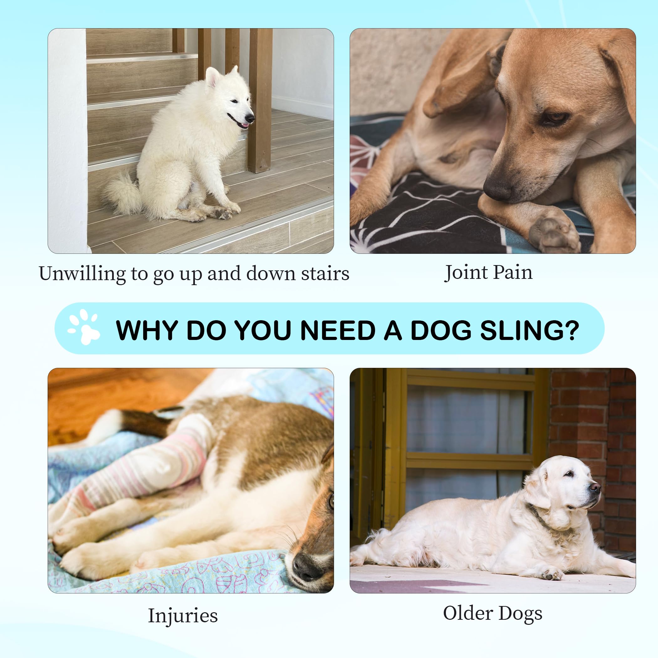 Dog Hip Brace for Joint Pain and Hip Dysplasia, Dogs Hind Leg Lift Harness with Chest Stabilizer Straps, Upgraded Adjustable Ela