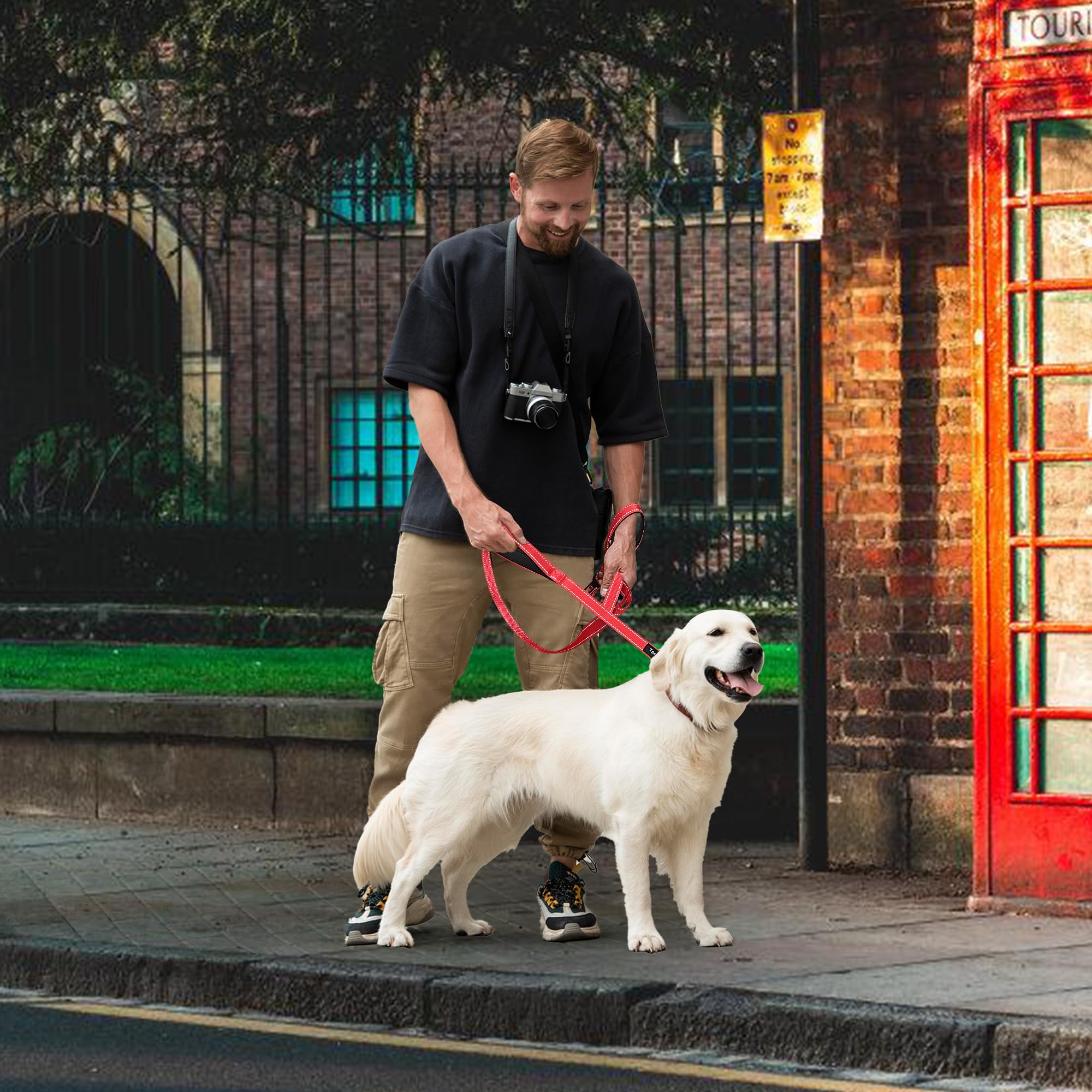 6 Foot Red Dog Leashes For Large Medium And Small Breed Dogs That Pull,Reflective Nylon Heavy Duty Dog Leash With 2 Comfortable