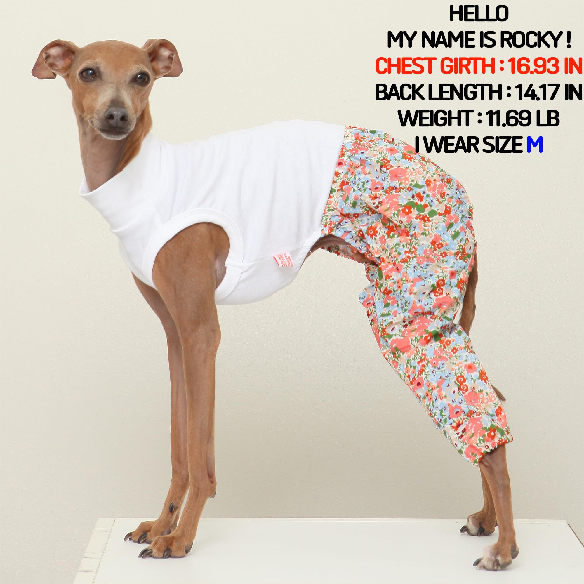 D Doggy Star Italian Greyhound Clothes Mombbe Onesie Outfit Whippet For Dog Coat (M,Mombbe Orange)