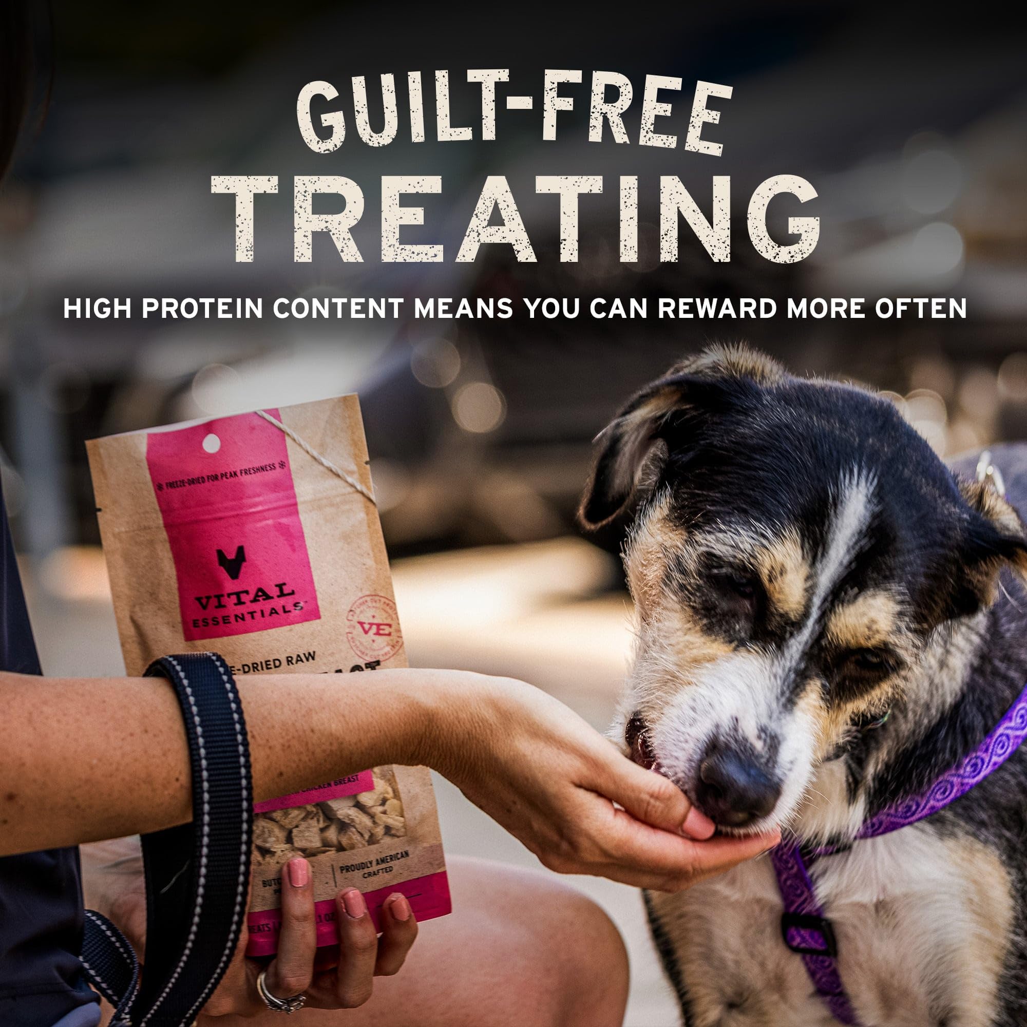 Vital Essentials Chicken Necks Dog Treats, 9 oz | Freeze-Dried Raw | Single Ingredient | Premium Quality High Protein Training T