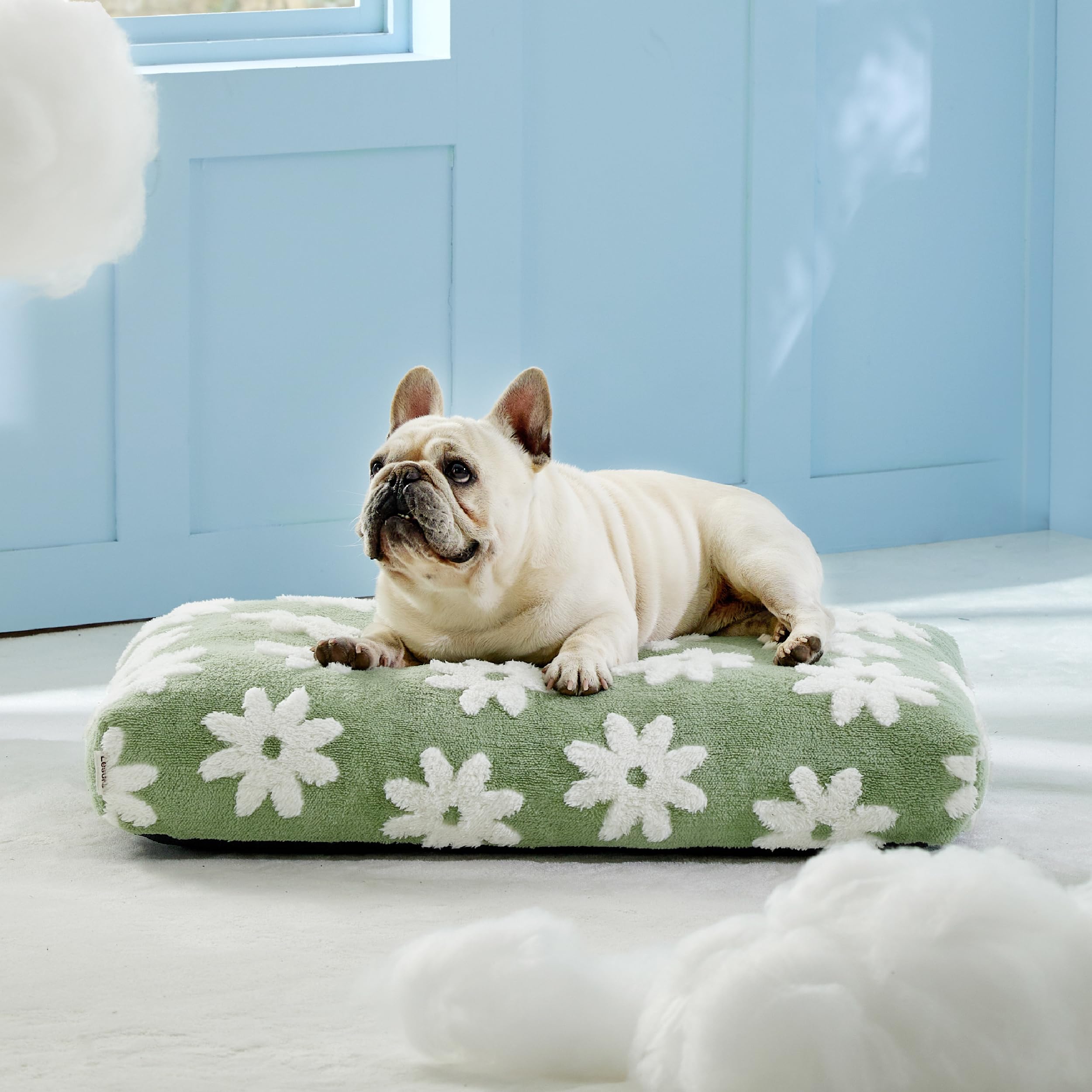 Lesure Dog Beds Medium Size-Thick Shredded Chopped Foam Pet Bed Indoor With Removable Cover, Cute Modern Fuzzy Plush & Anti Slip