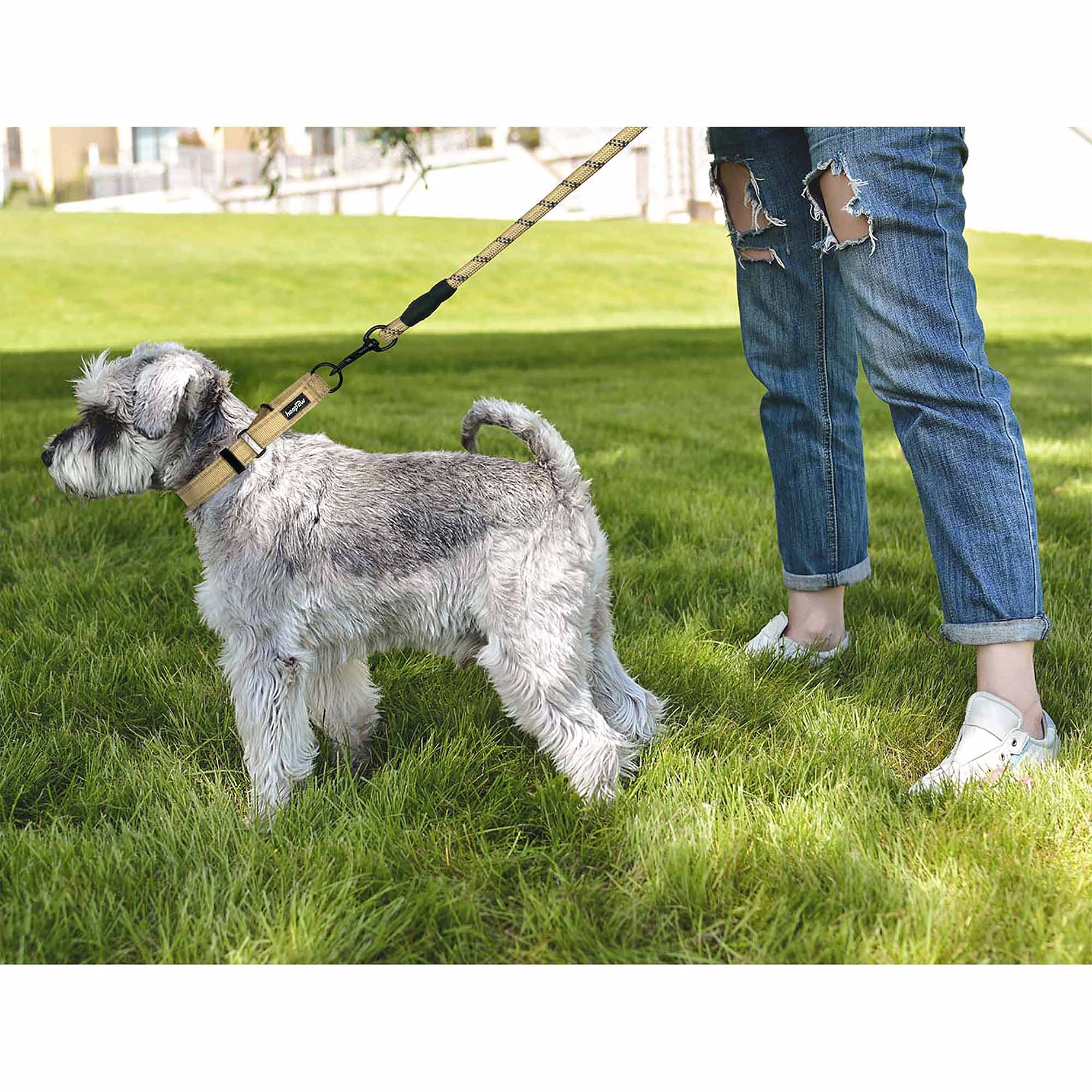 Haapaw 2 Packs Martingale Dog Collar With Quick Release Buckle Reflective Dog Training Collars For Small Medium Large Dogs (L Ne