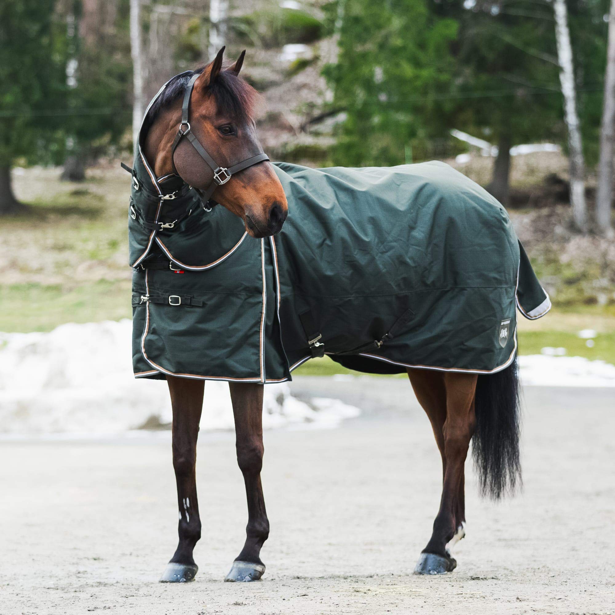 B Vertigo Georgina Medium Weight Turnout Blanket