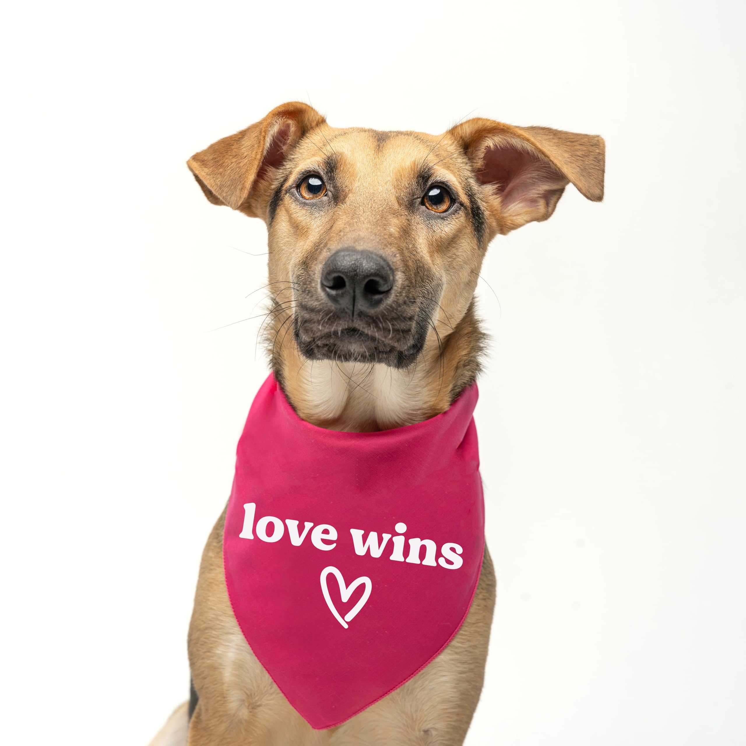 Love Wins Dog Bandana | 100% Cotton Adjustable Triangle | Made In Usa | Pride Day | Lgbtq+ | Rainbow | Parade |Red, X-Small (720