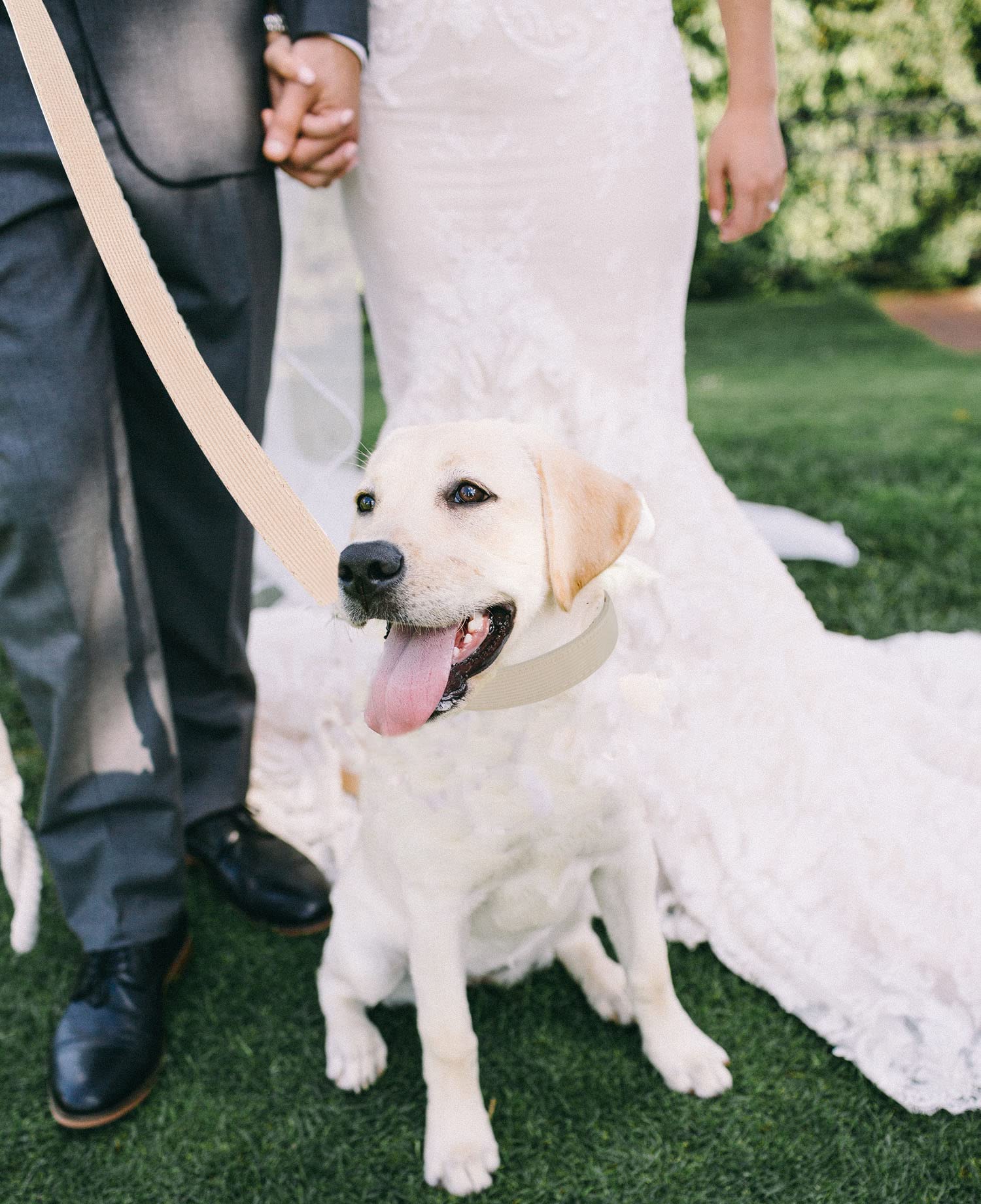 Ewinoom Soft Corduroy Dog Collar and Leash Set, Adjustable Cotton Dog Collars with Metal Buckle and Lead for Medium Dogs,Beige