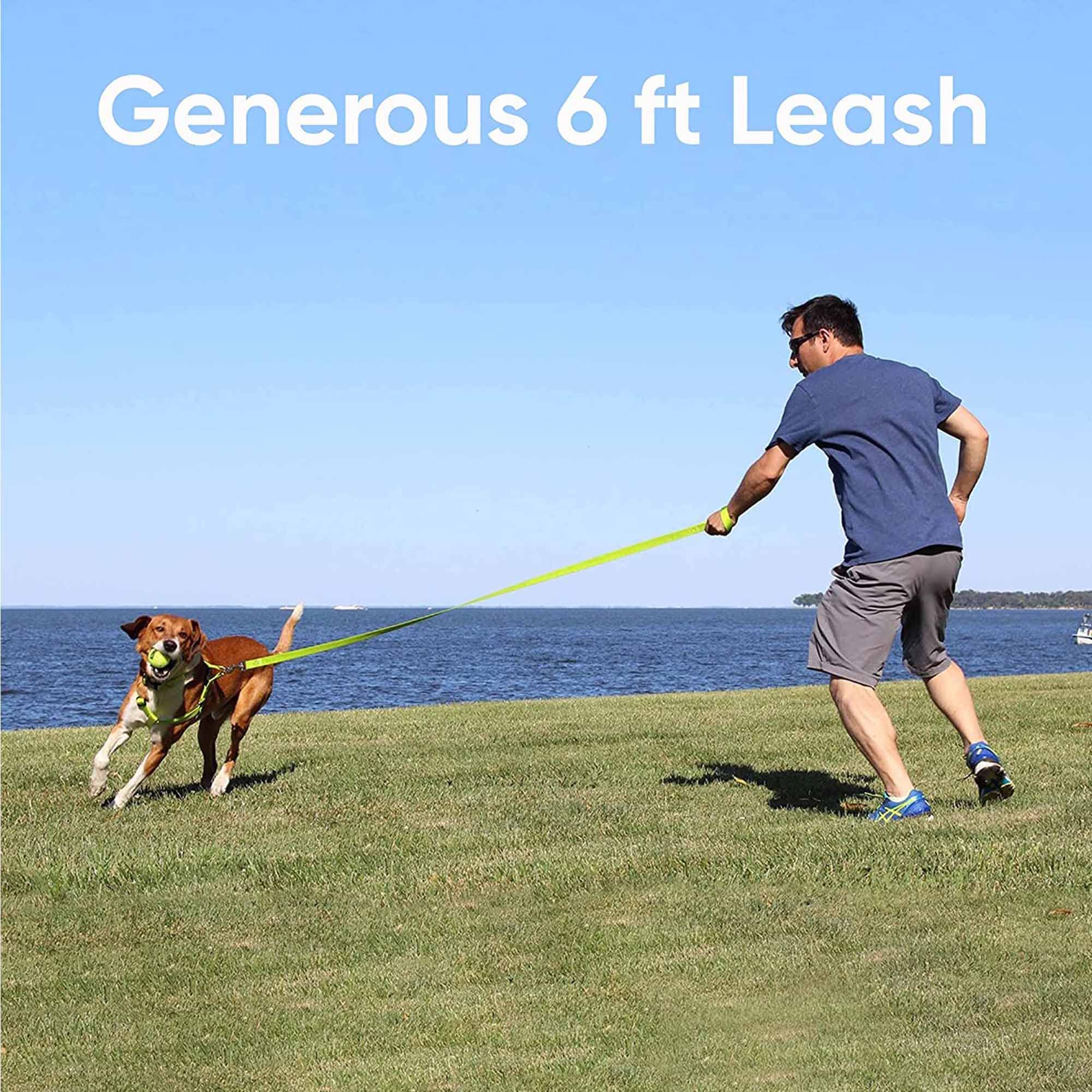 Pawtitas 6 Ft Solid Color Leash For Puppy Leash Dog Leash Comfortable Handle Dog Training Leash 6 Ft Dog Leash Extra Small Dog Leash/Small Dog Leash Red Dog Leash