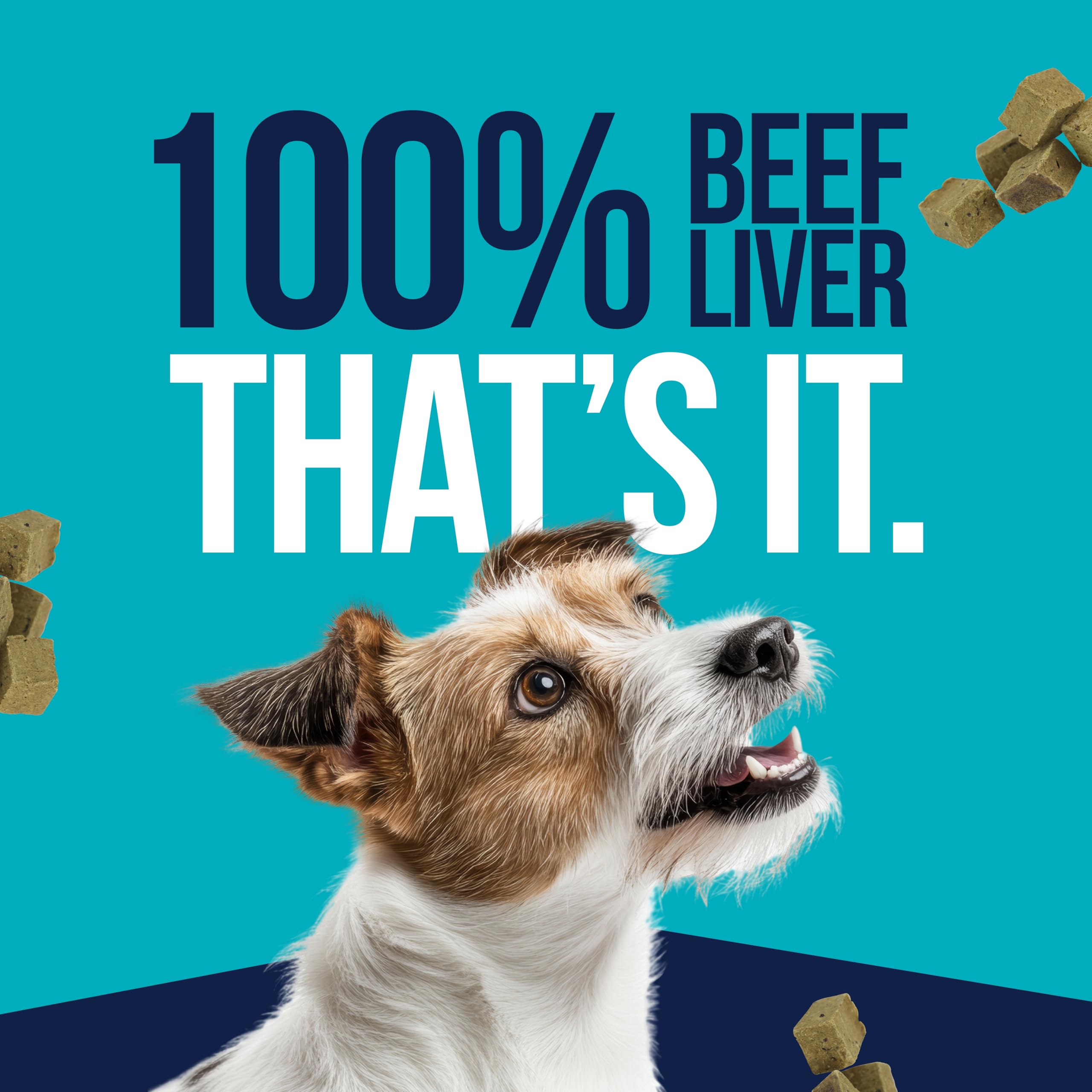 Gimborn Freeze Dried Beef Liver Trts 14oz2