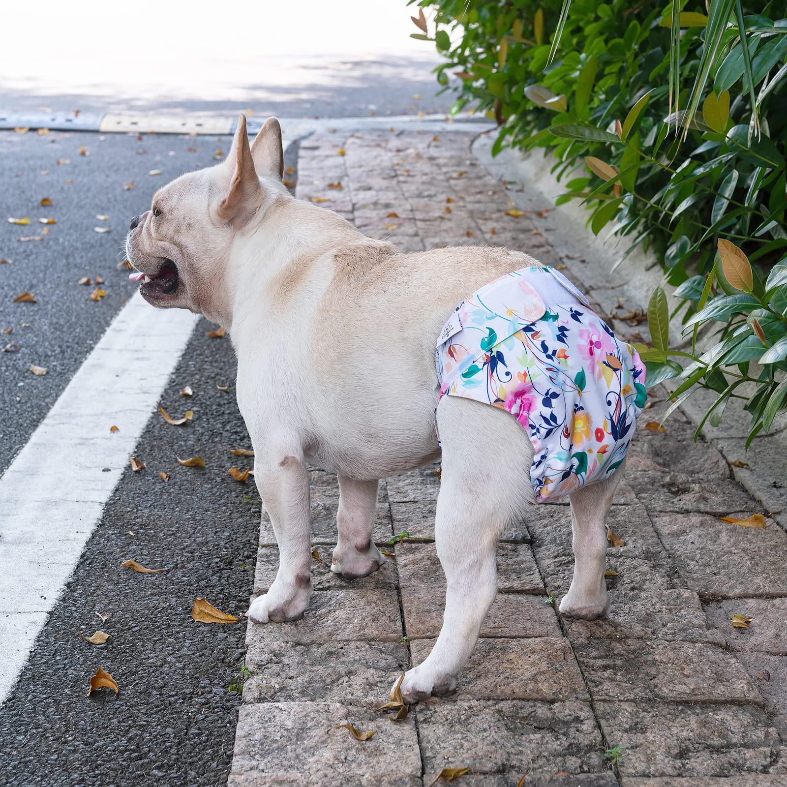 Cutebone Washable Dog Diapers Female 3 Pack Puppy Training Pants For Docked-Tail Dogs Wwd02M