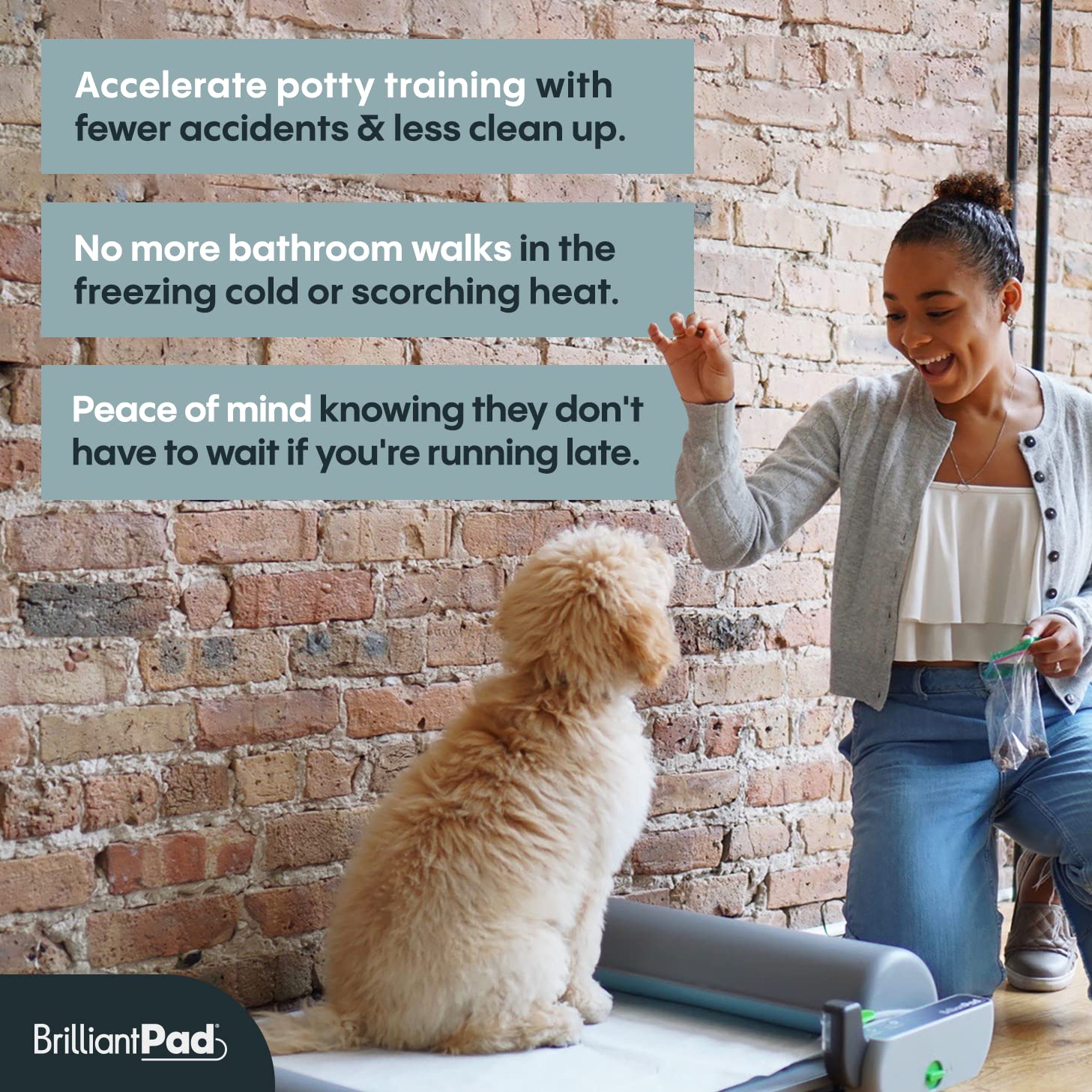 BrilliantPad Smart Indoor Dog Potty for Small Pets | Self Cleaning with Odor Control, AI Health Monitoring, Puppy Training Alter