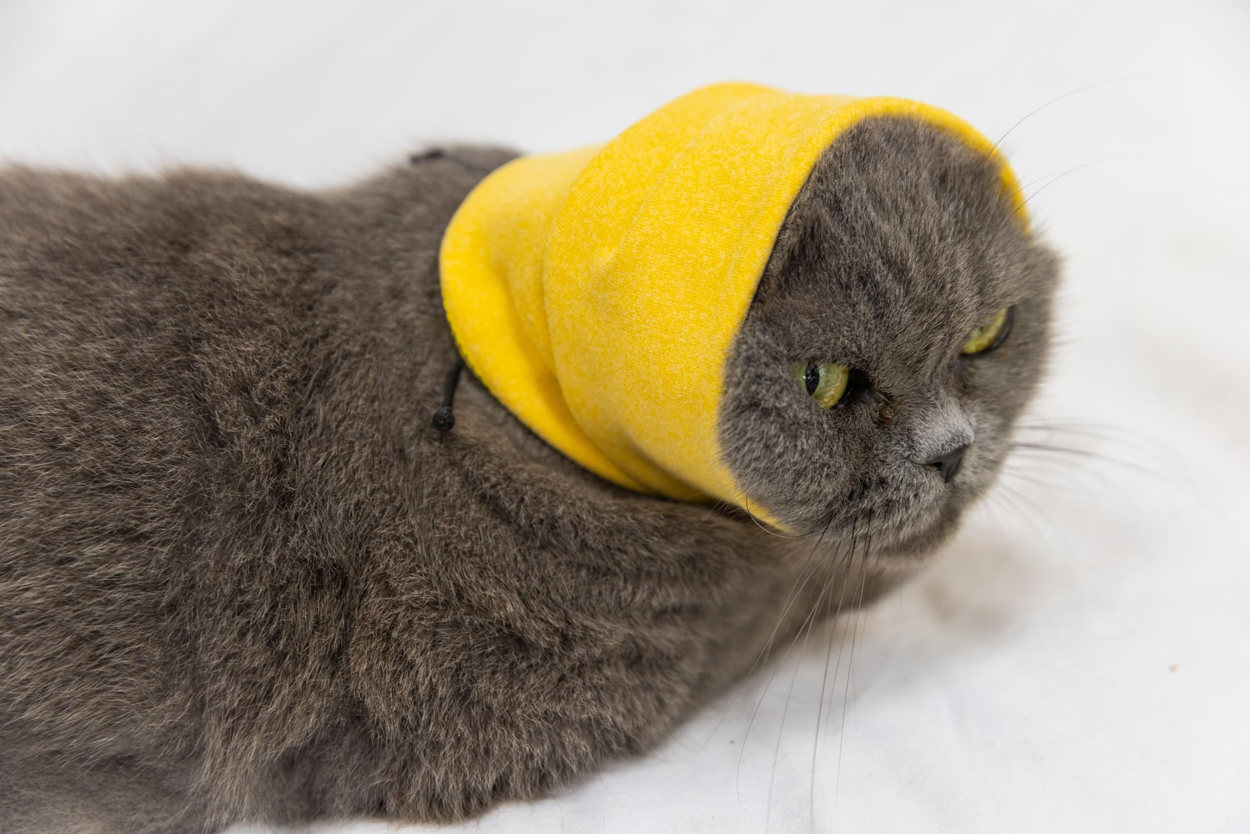 DDFS Soothing Cat Head Wrap Comfort Anti Anxiety Relief Quiet Ears Cat Snood for Grooming Yellow S
