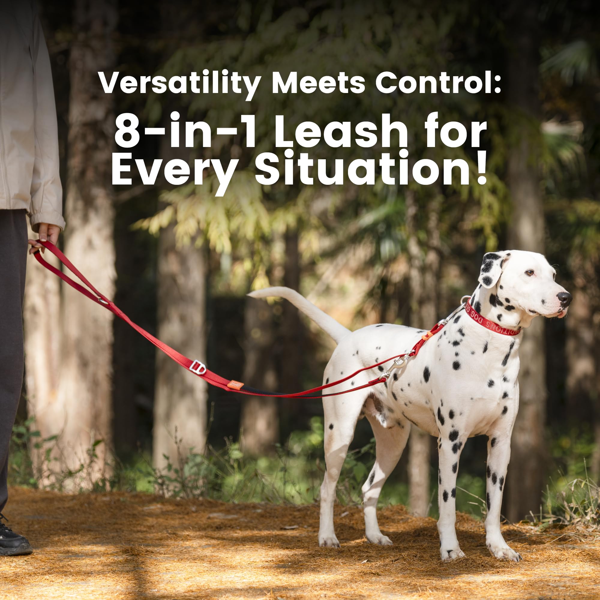 Howgo 8-In-1 Multifunctional Hands Free Dog Training Leash With Padded Handle, 8.5 Ft Nylon Adjustable Length, Lightweight Aviat