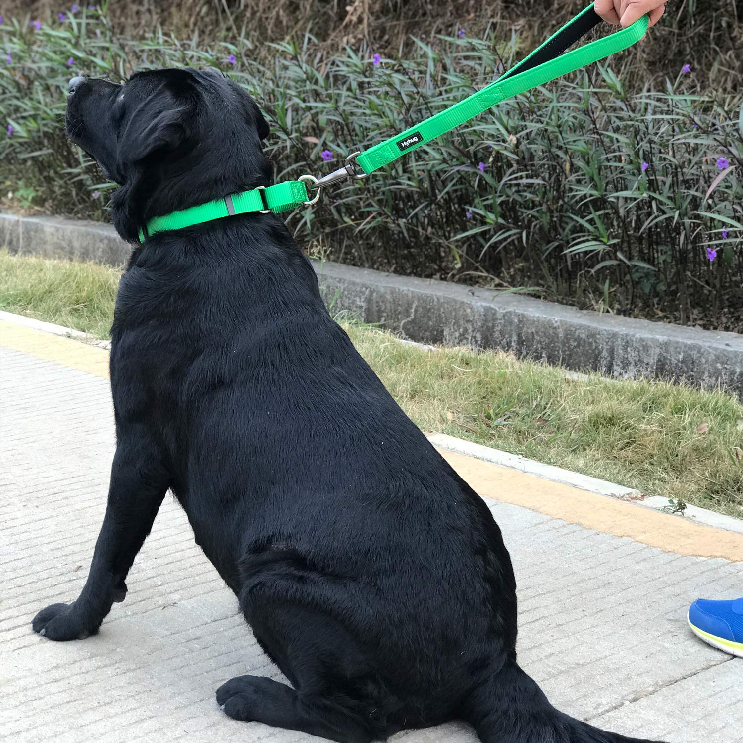 Hyhug Martingale Dog Collar Without Buckle: Anti Escape, No Slip Heavy Duty Nylon, Colorfast Adjustable Pet Supplies For Medium