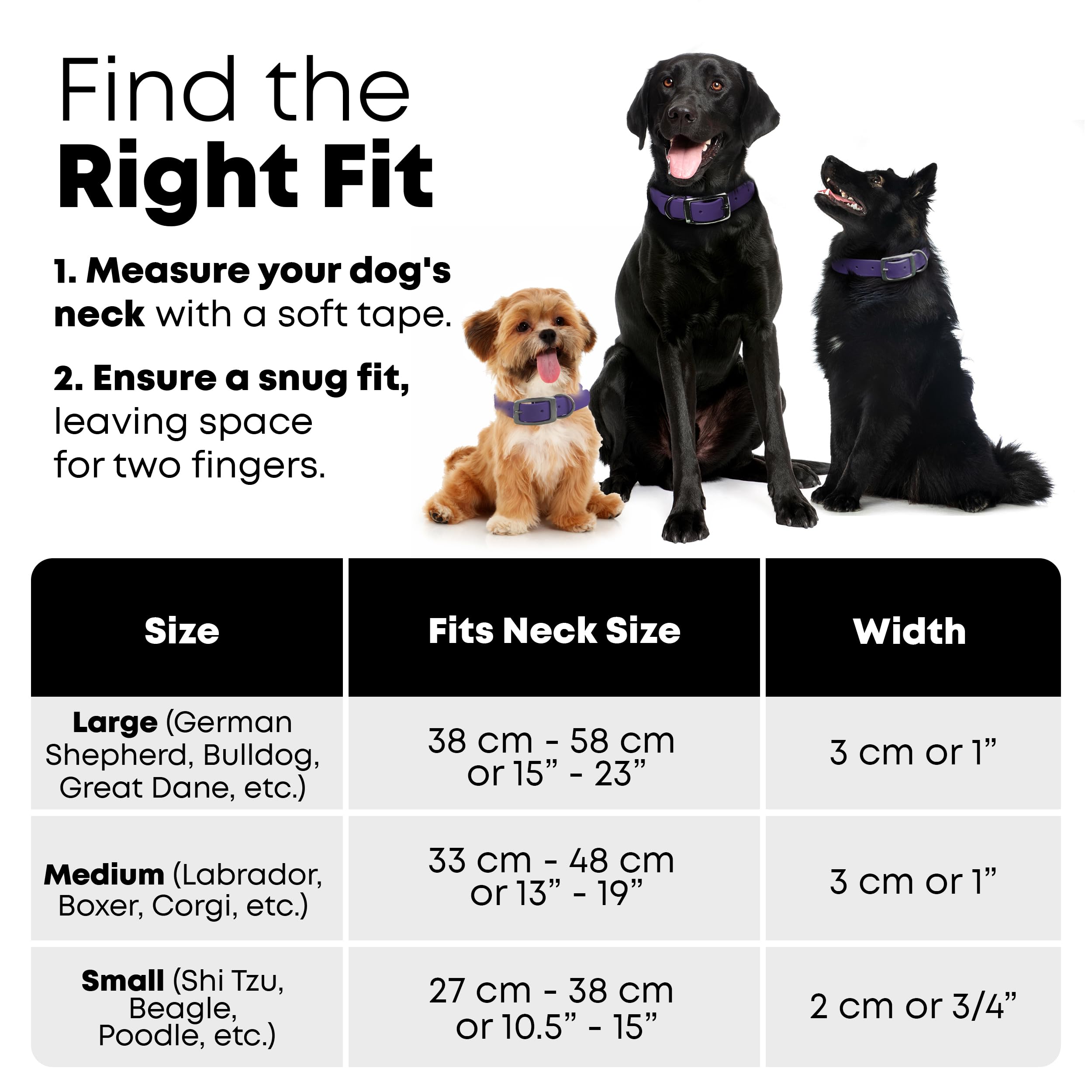 Regal Dog Products Large Purple Waterproof Dog Collar and Leash Set | Heavy Duty Double Buckle & D Ring - 5'ft Leash | Adjustabl