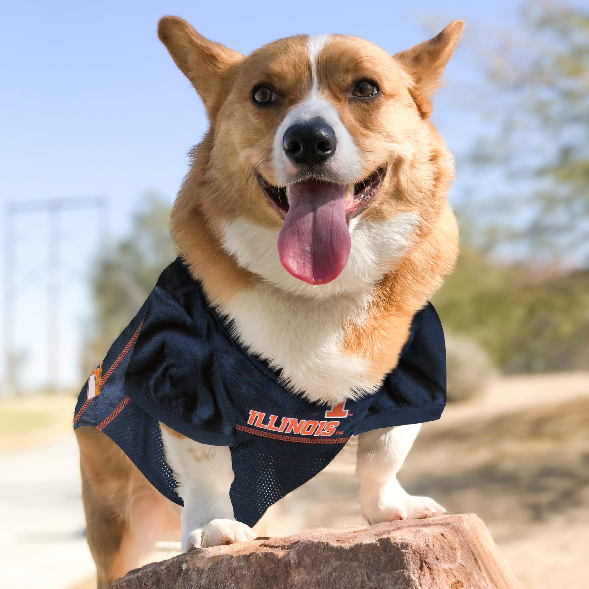 Pets First NCAA College Illinois Fighting Illini Mesh Jersey for Dogs & Cats, XX-Large. Licensed Dog Jersey with Your Favorite F