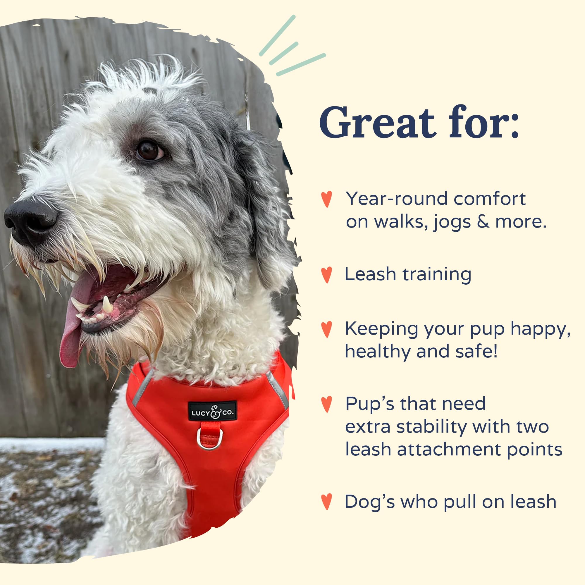 Lucy & Co. The Cherry Red No-Pull Dog Harness - Size X-Small - Vest to Stop Pulling & Walk Easy - Comfortable Leash Training Pro
