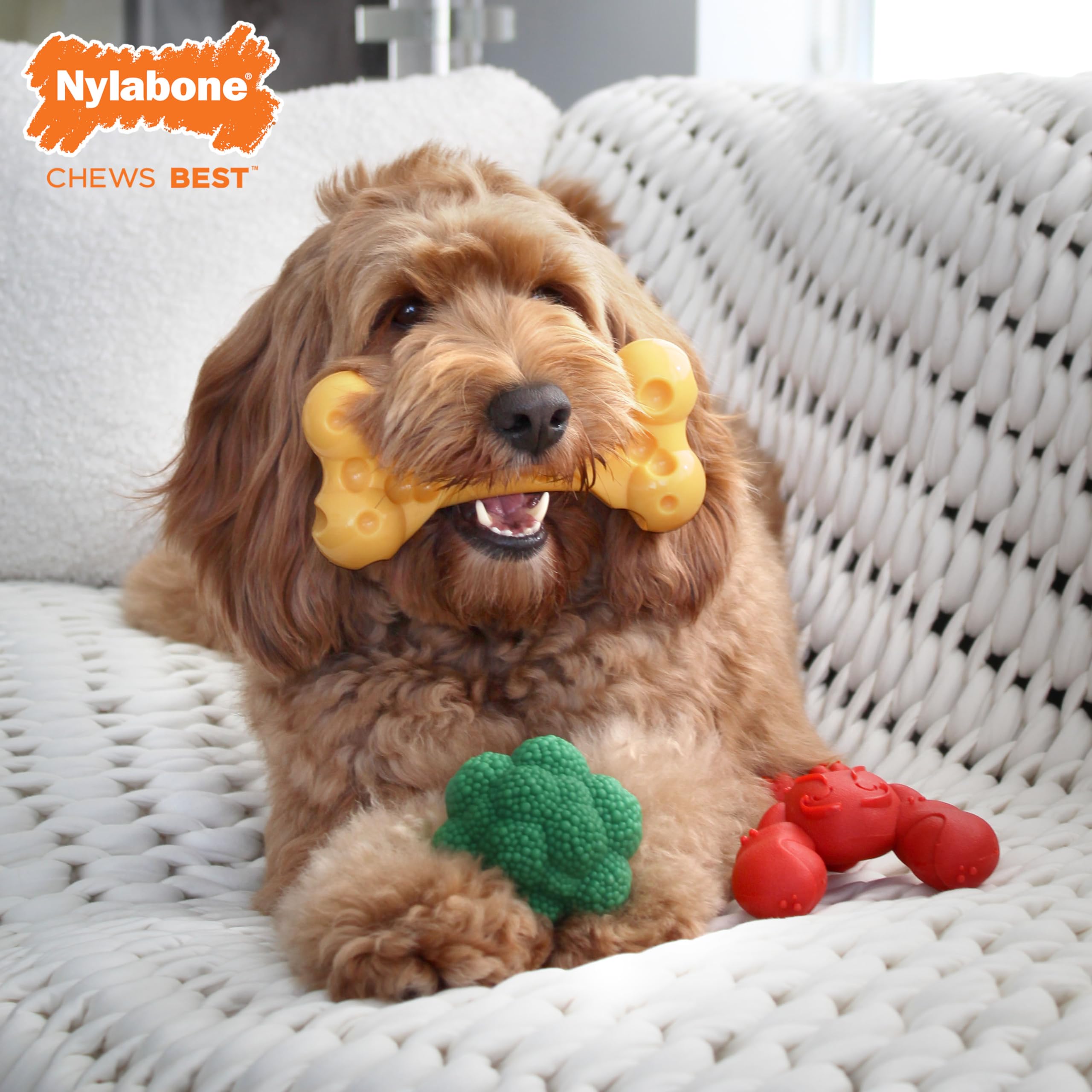 Nylabone Power Chew Dog Chew Toy Pack Bundle - Fun & Cute Dog Toys for Aggressive Chewers, Tough Dog Toys, Lobster, Cheese, and