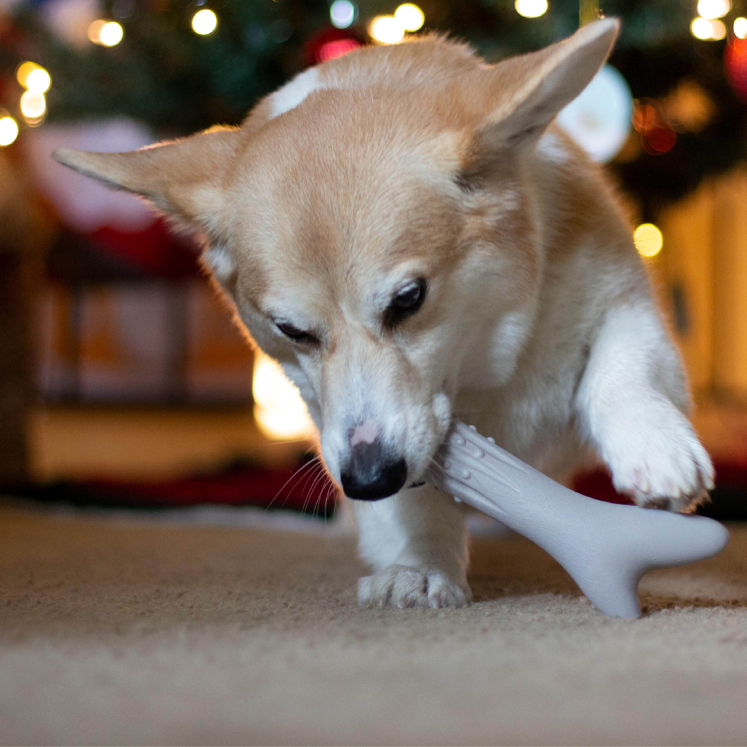 Petstages Deerhorn Antler Alternative Dog Chew Toy, Medium