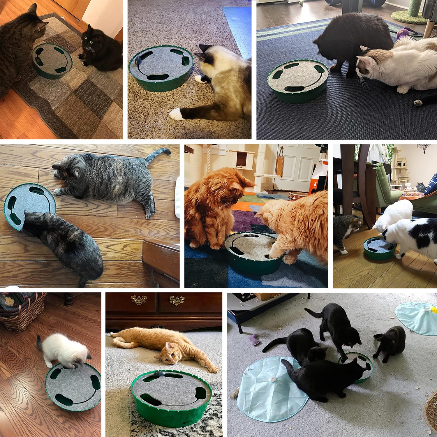 Pawaboo Interactive Cat Toy with Running Mouse, Electronic Motion Cat Toy Automatic Teaser for Indoor Cats, Pop and Play Hide Se