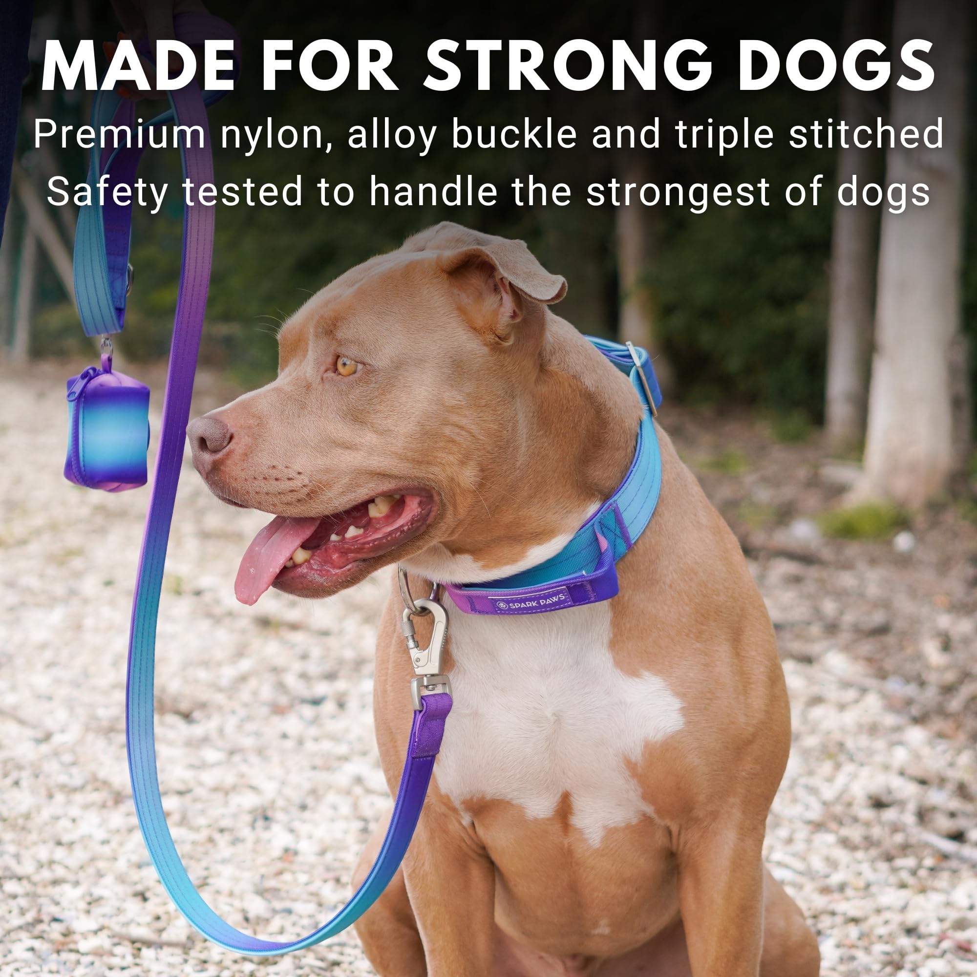 Spark Paws Tactical Dog Collar - Heavy Duty, Premium Quality, Thick And Durable For Large And Medium Dogs - 90S Retro - L - 1.5'