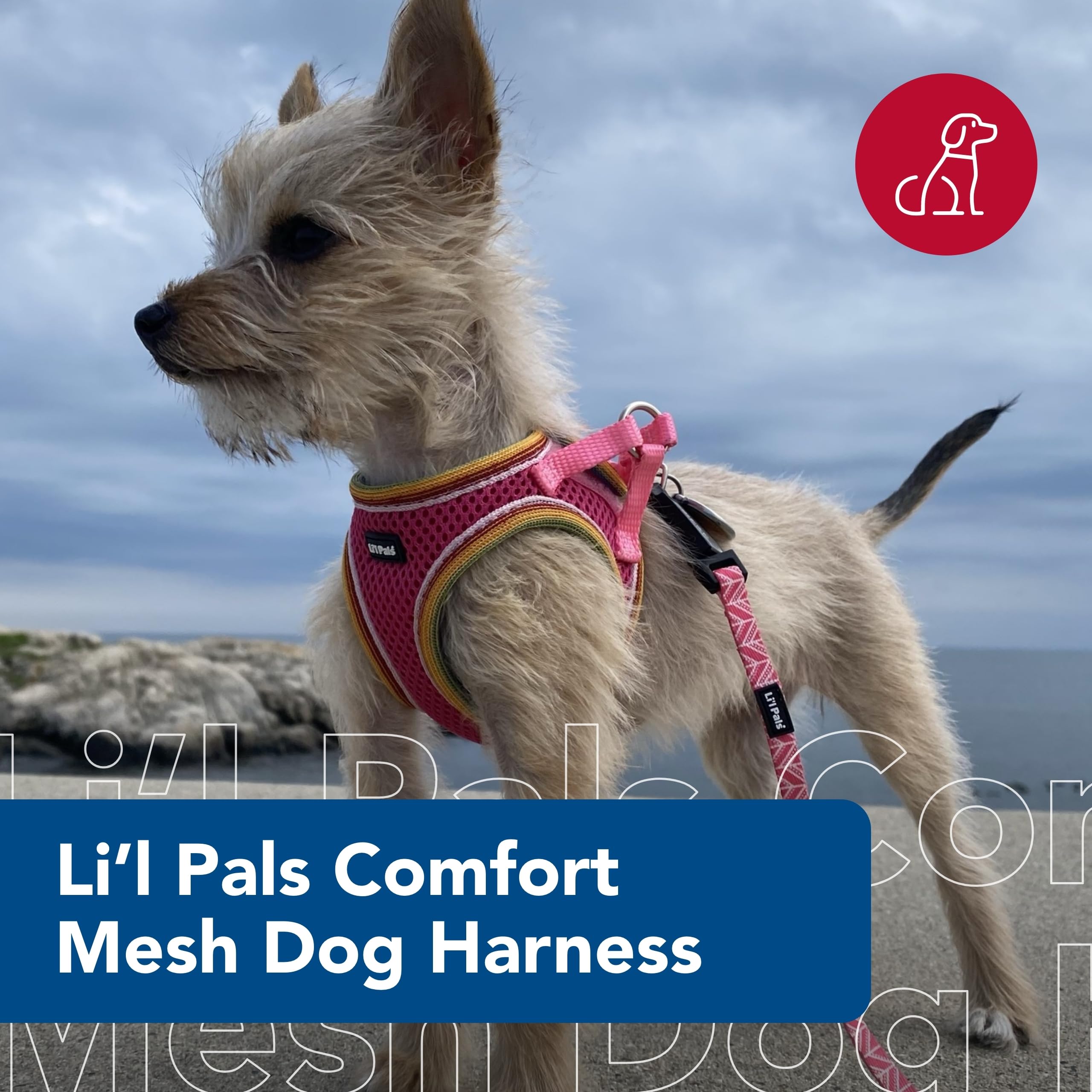 Coastal Pet Li'L Pals Comfort Mesh Dog Harness - No-Pull Step-In Dog Harness For Small Dogs & Puppies - Dog Cooling Vest - Pink Bright - 3/8' X 8'-10'