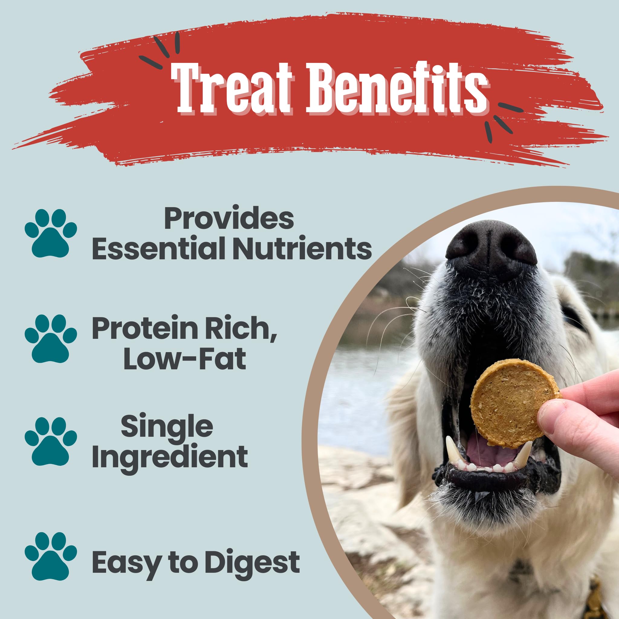 Farm To Pet - Dog Training Treats - 12 oz Fish Chips, Single Ingredient, Lean, All Natural, Healthy Treats for Small, Medium, La