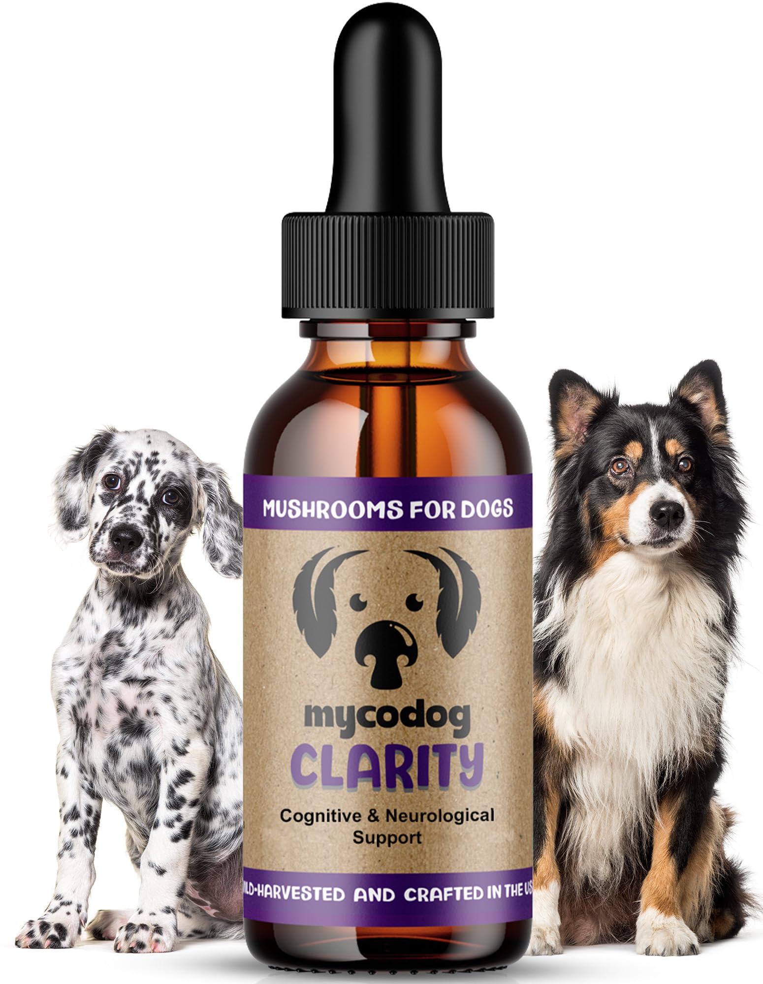 MycoDog Clarity - Cognitive Support Supplement for Dogs - Brain Health, & Senior Dog Wellness - Memory & Focus with Functional M